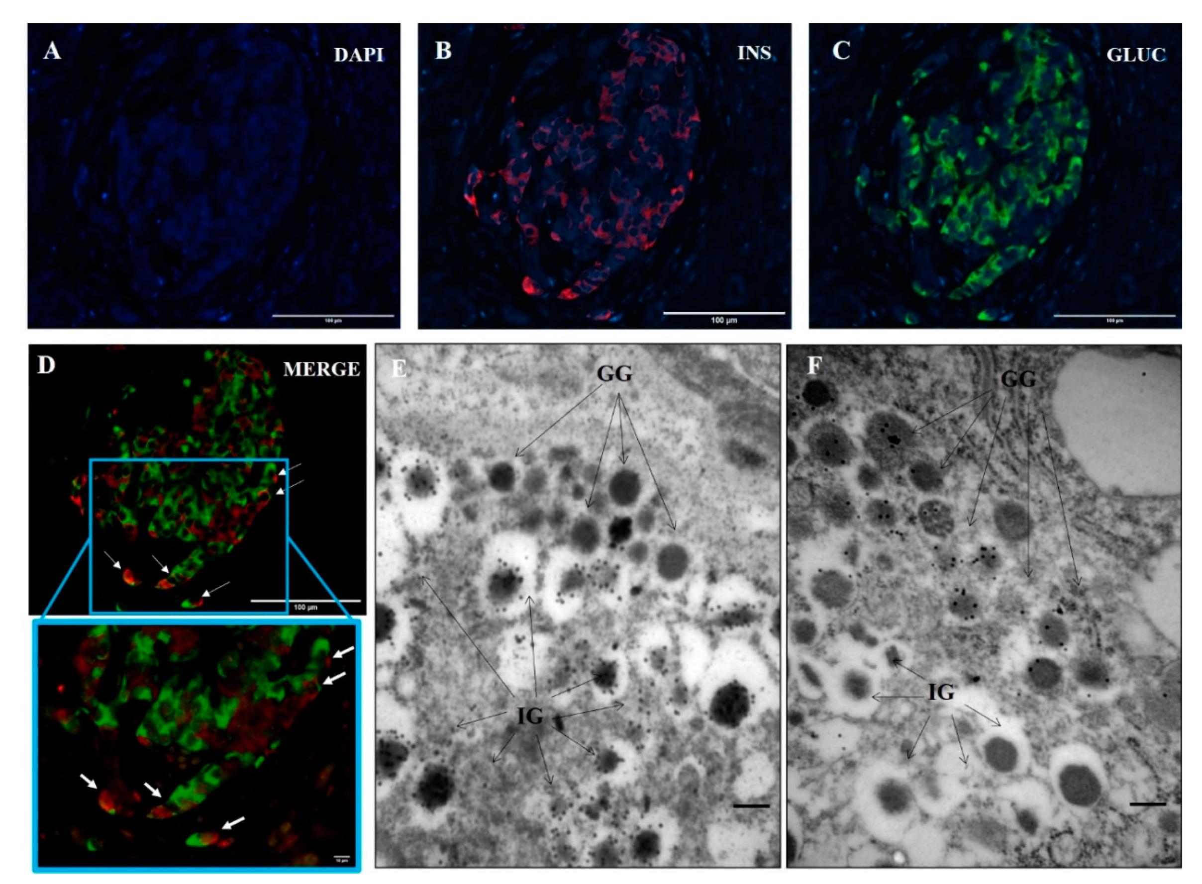 Biomolecules 11 00320 g001