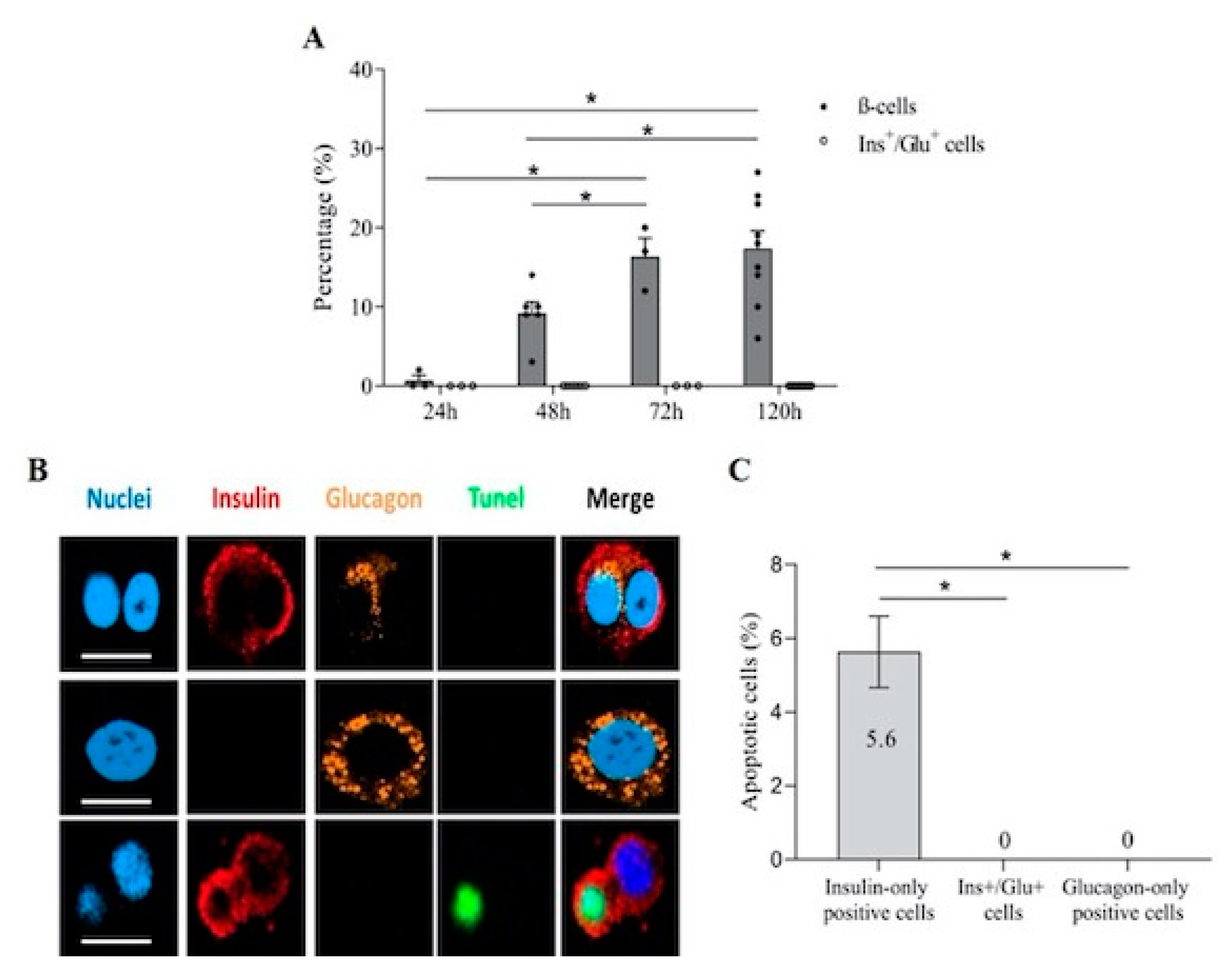 Biomolecules 11 00320 g003
