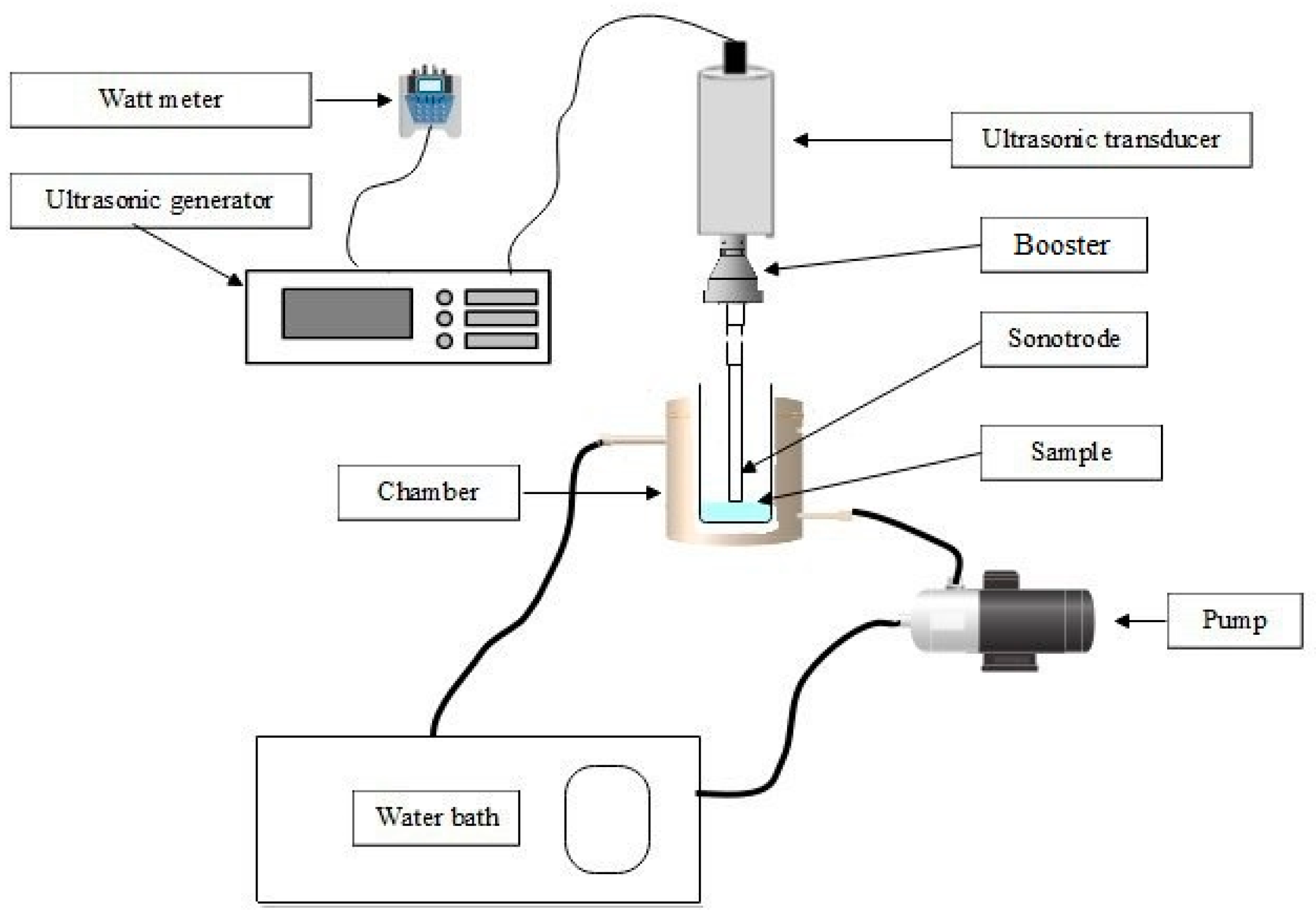 Biomolecules 11 00321 g001