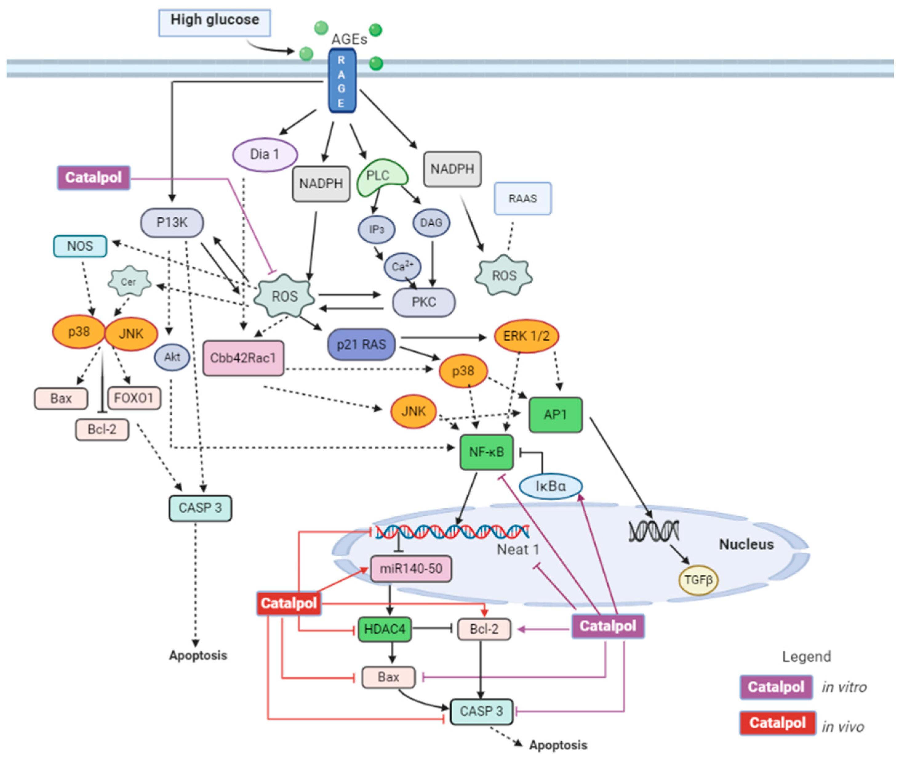 Biomolecules 11 00323 g008 Biomolecules 11 00323 g008