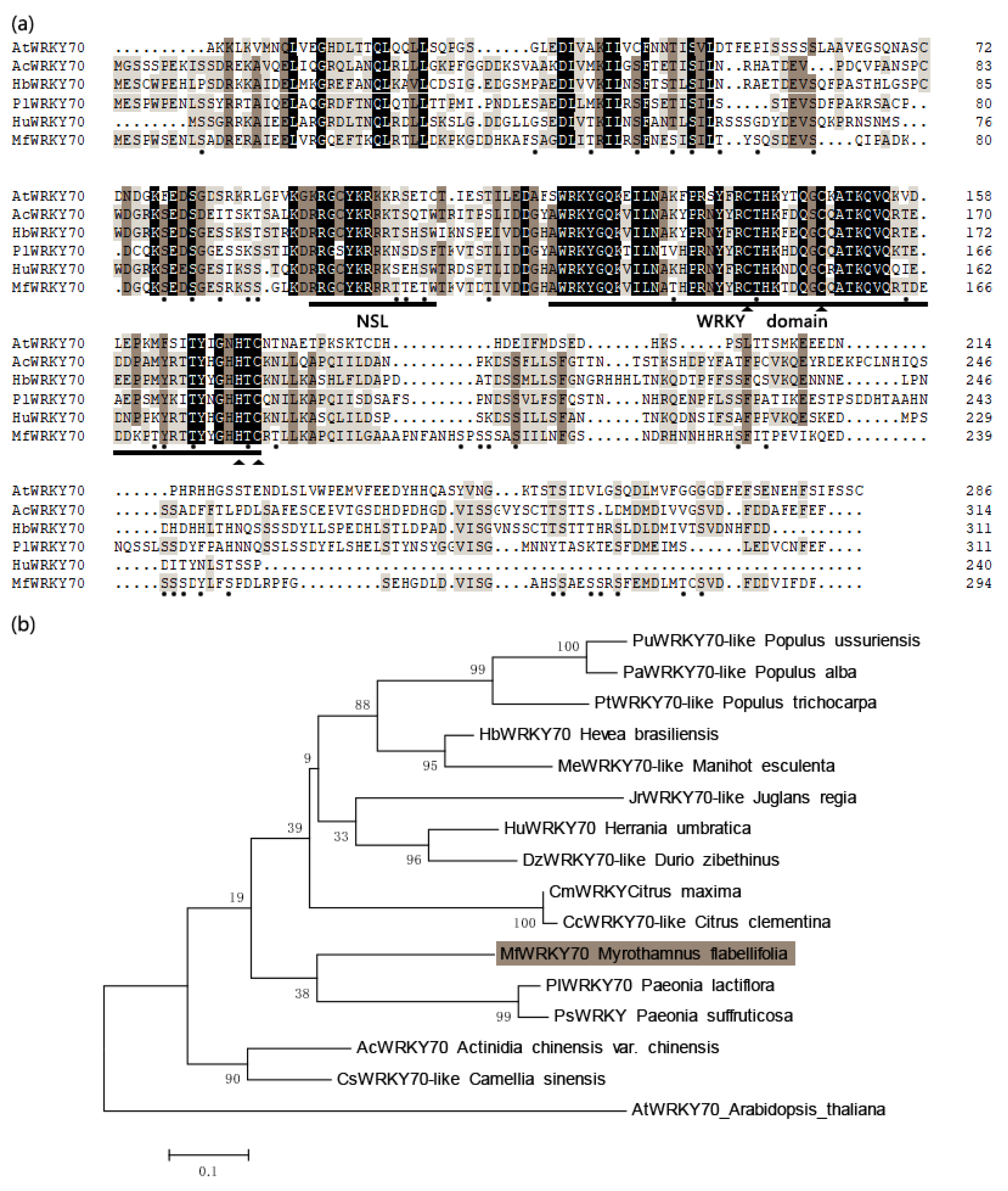 Biomolecules 11 00327 g001 Biomolecules 11 00327 g001