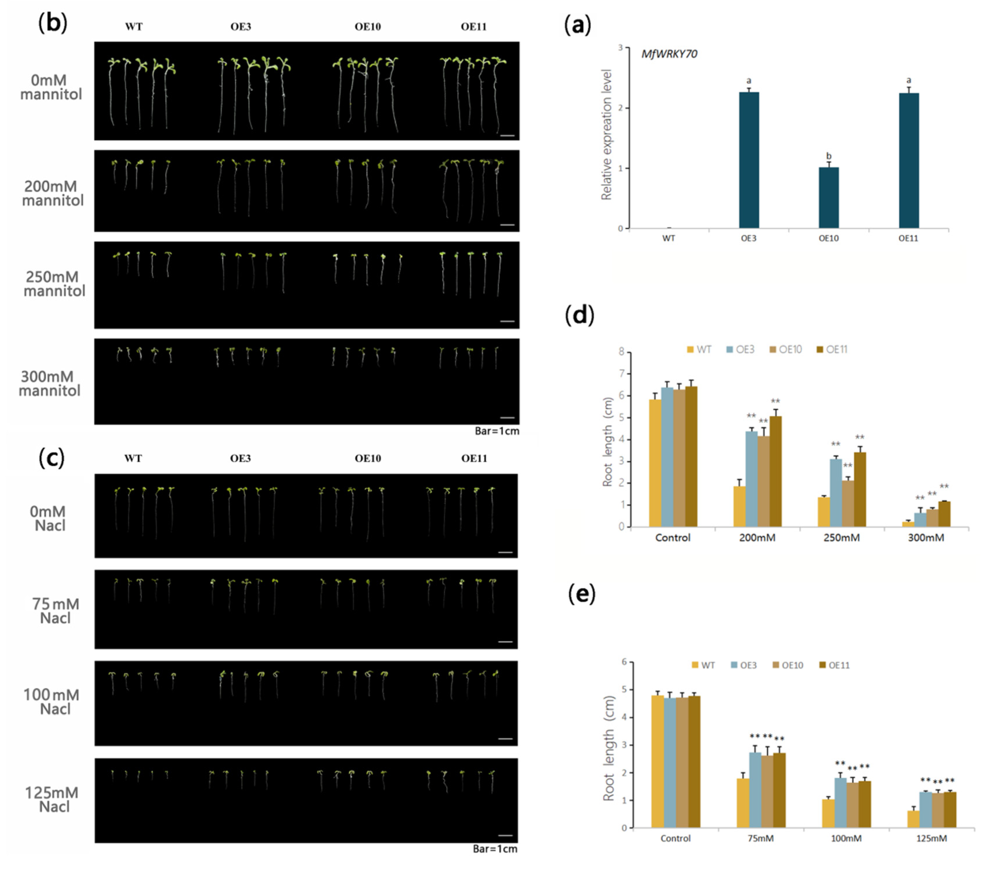 Biomolecules 11 00327 g003 Biomolecules 11 00327 g003