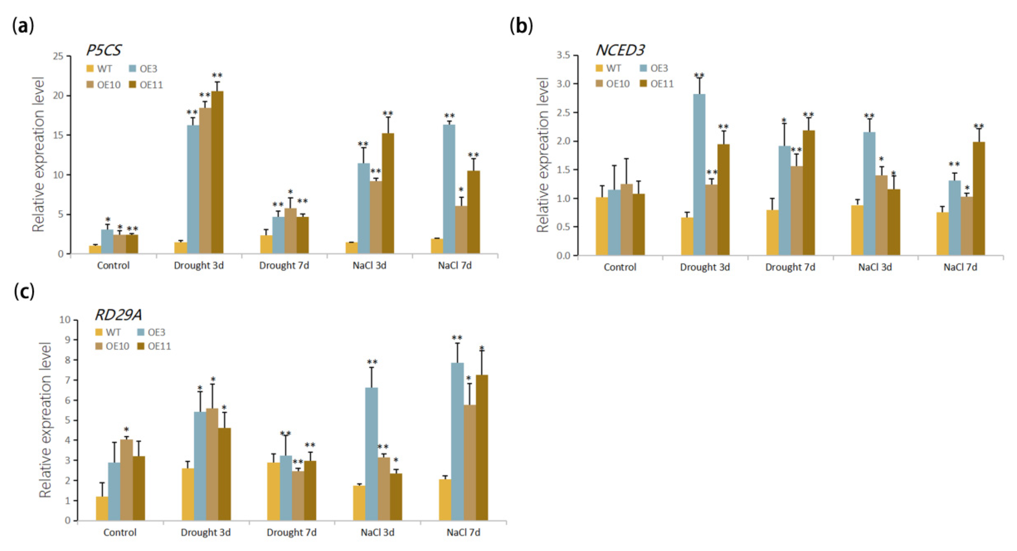 Biomolecules 11 00327 g007 Biomolecules 11 00327 g007