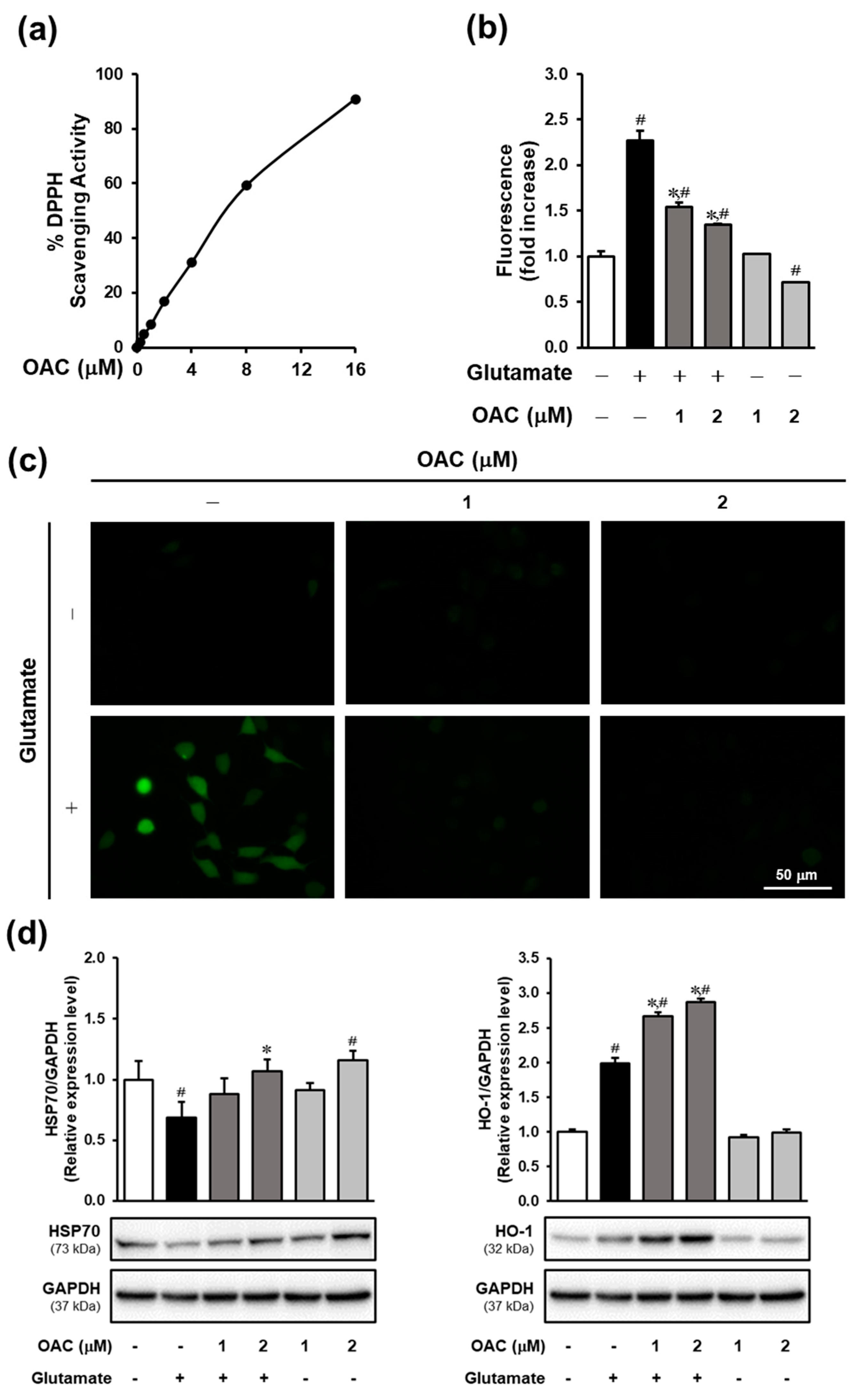 Biomolecules 11 00328 g002