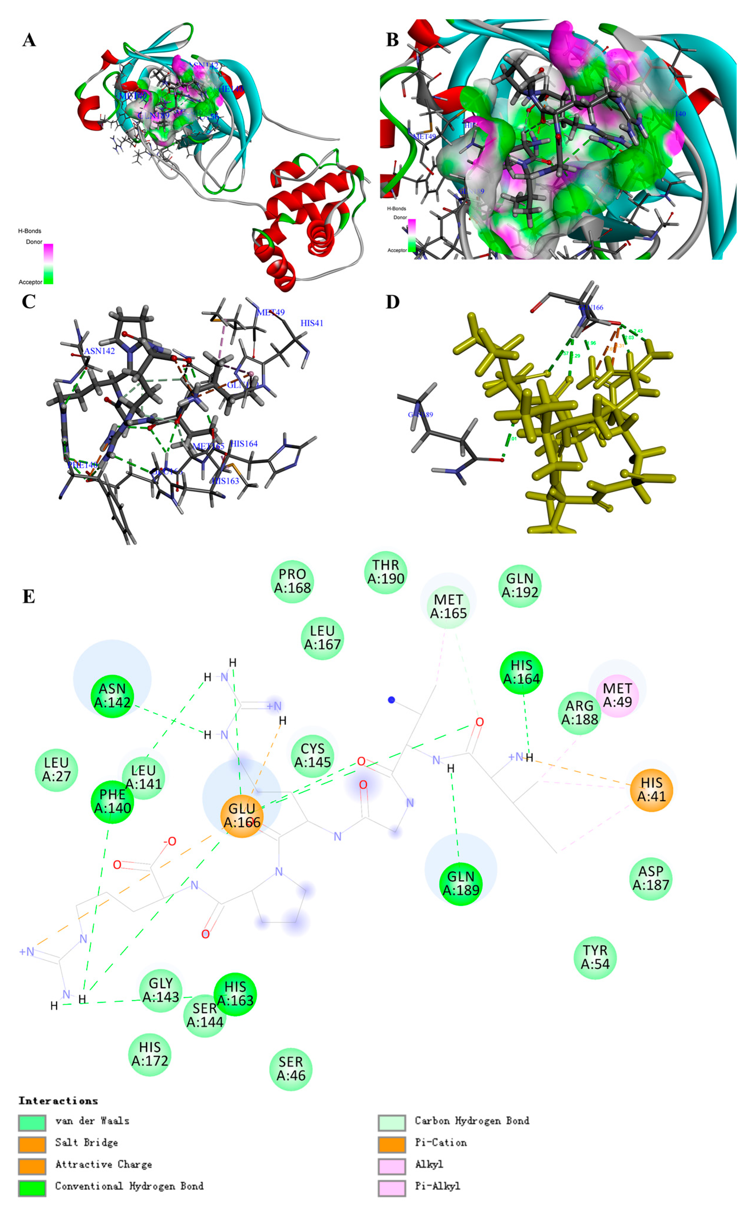 Biomolecules 11 00330 g002 Biomolecules 11 00330 g002