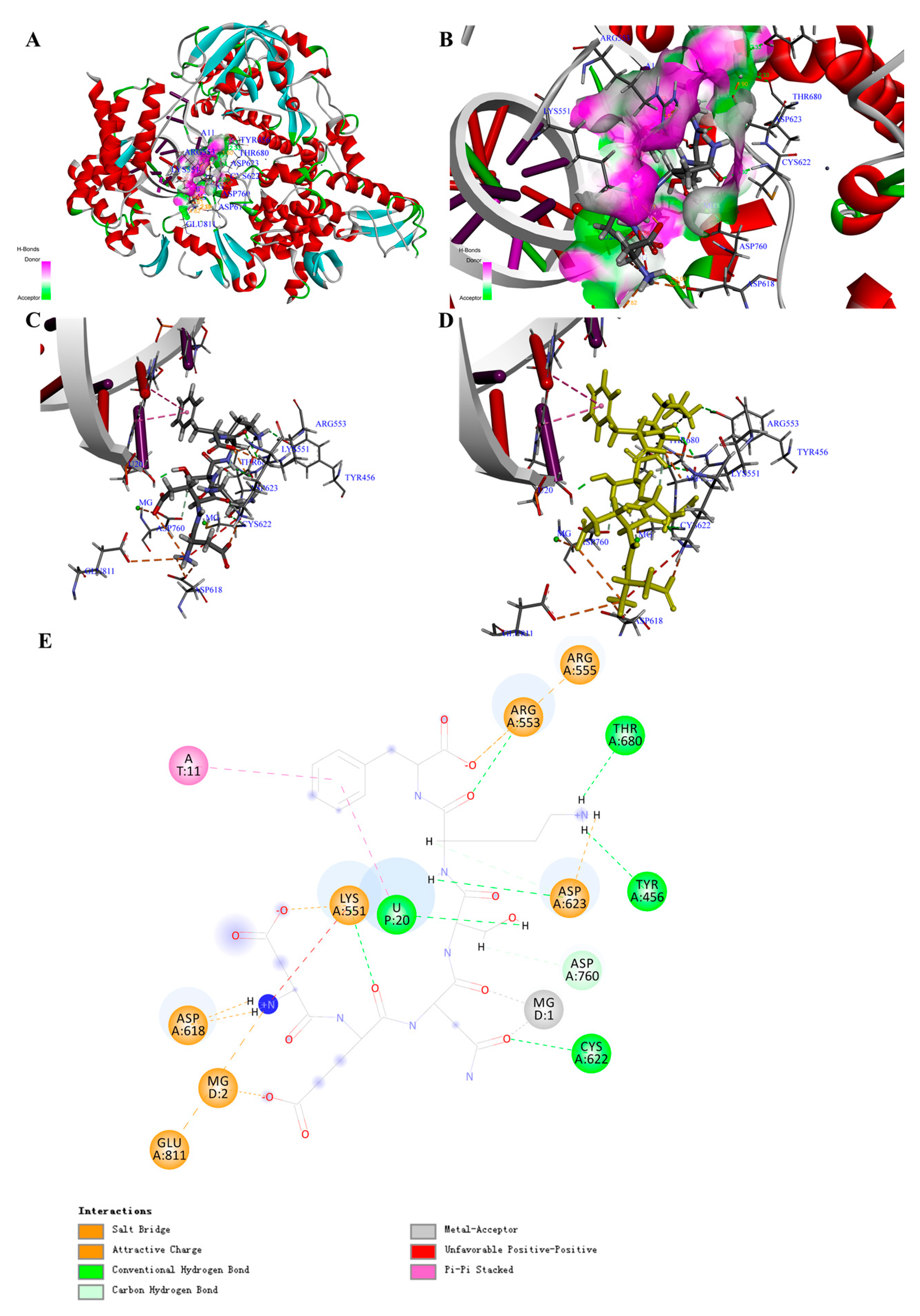 Biomolecules 11 00330 g003 Biomolecules 11 00330 g003