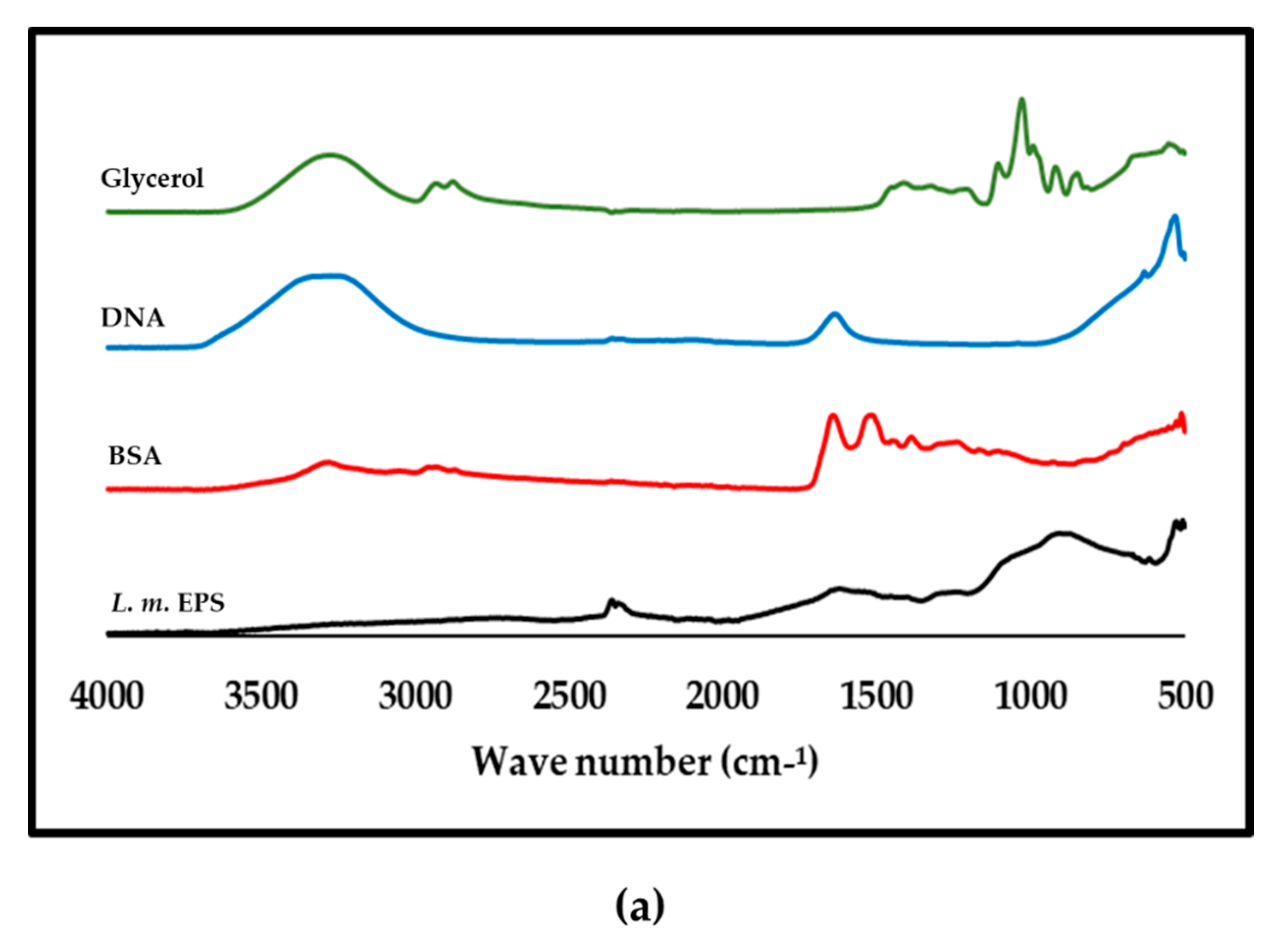Biomolecules 11 00331 g007a Biomolecules 11 00331 g007a