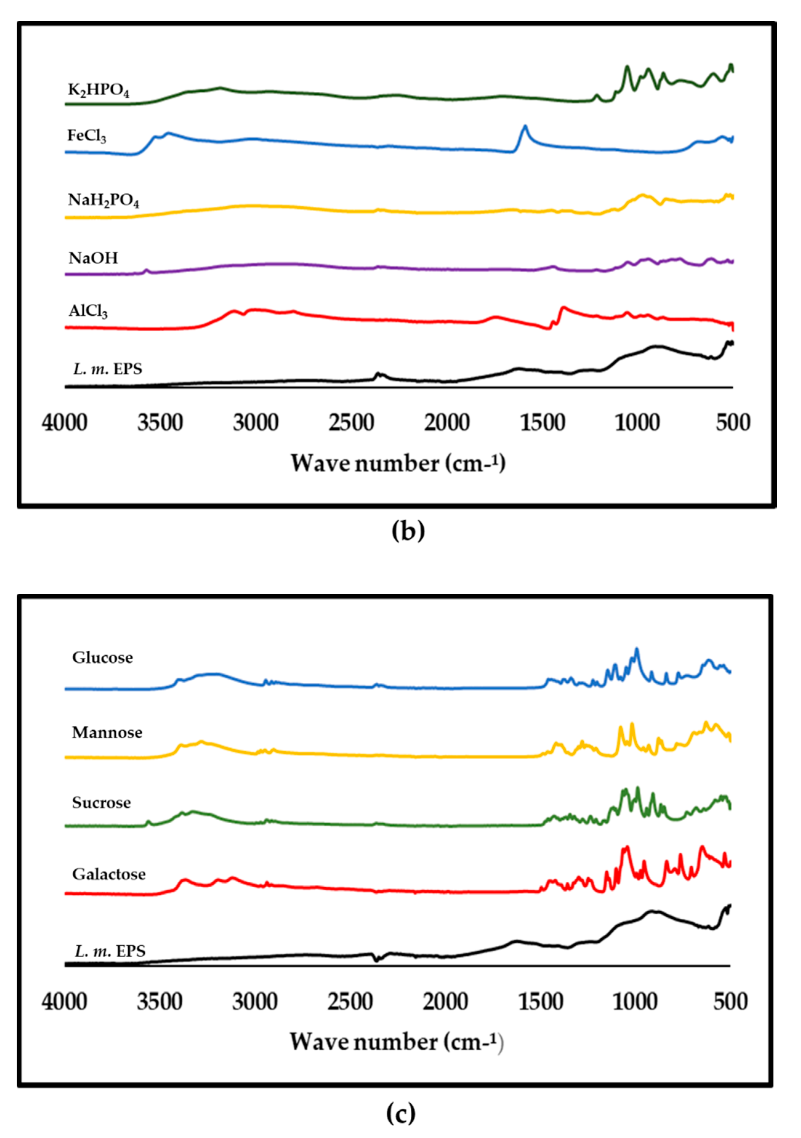 Biomolecules 11 00331 g007b Biomolecules 11 00331 g007b