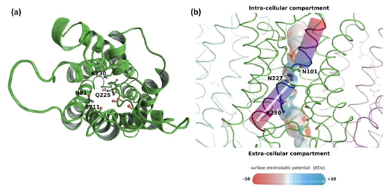 Biomolecules 11 00338 g002