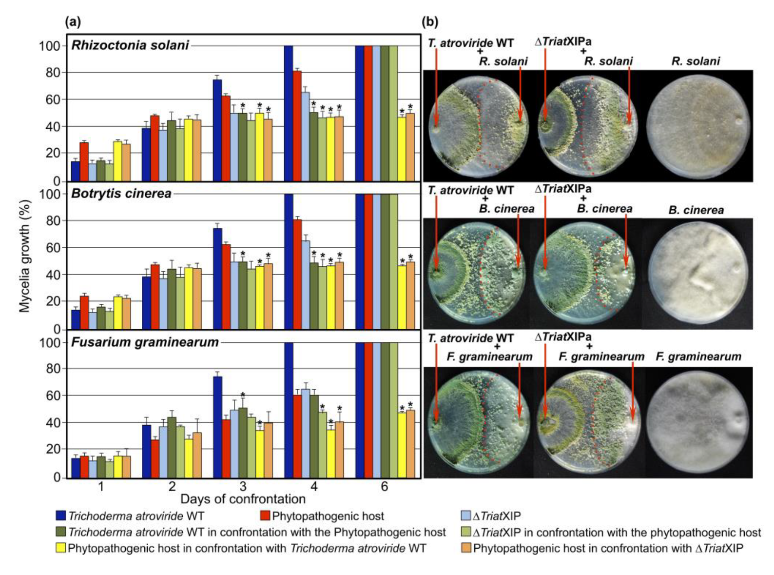 Biomolecules 11 00338 g004