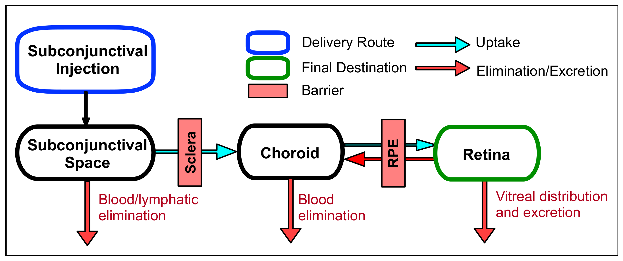 Biomolecules 11 00339 g004 Biomolecules 11 00339 g004