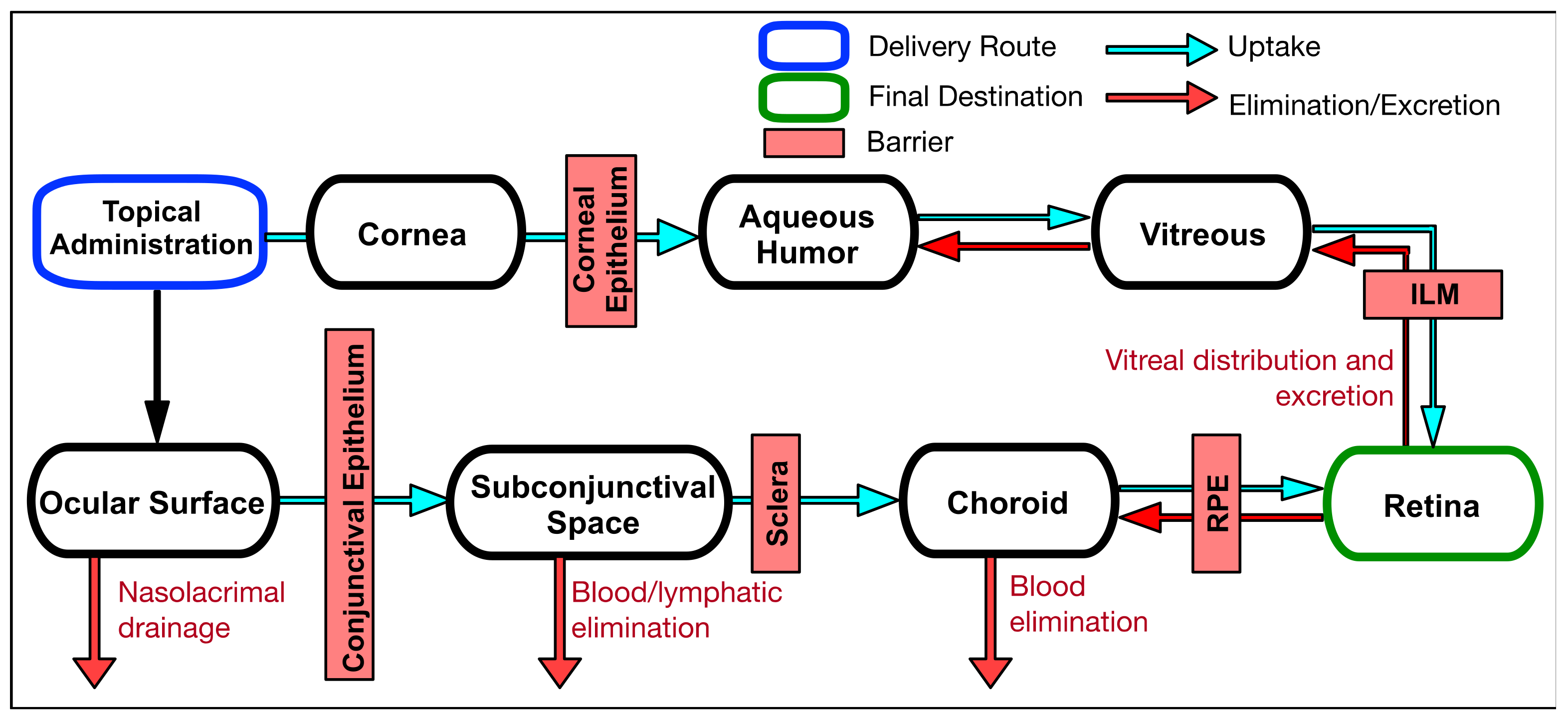 Biomolecules 11 00339 g005 Biomolecules 11 00339 g005