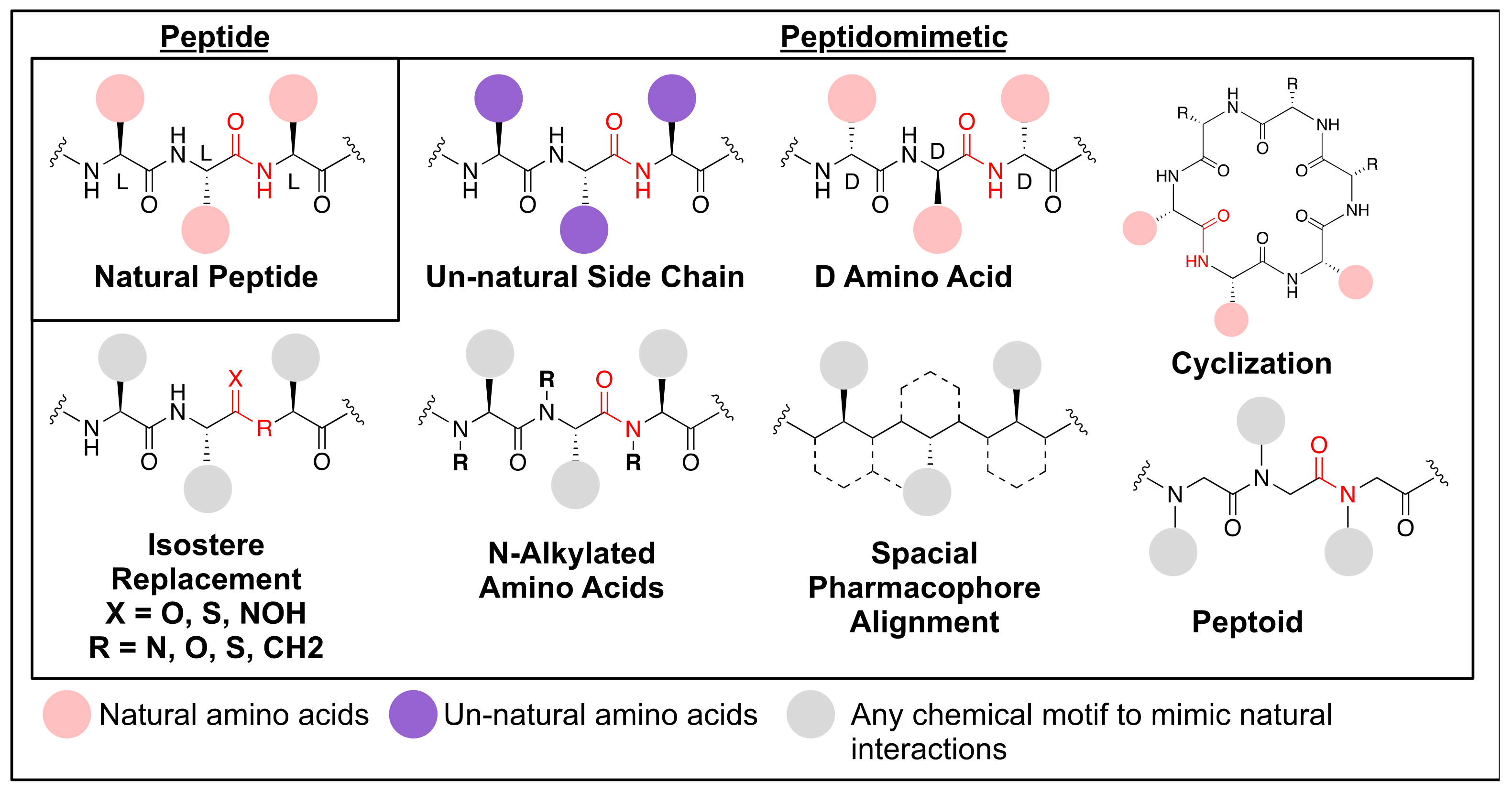 Biomolecules 11 00339 g006 Biomolecules 11 00339 g006