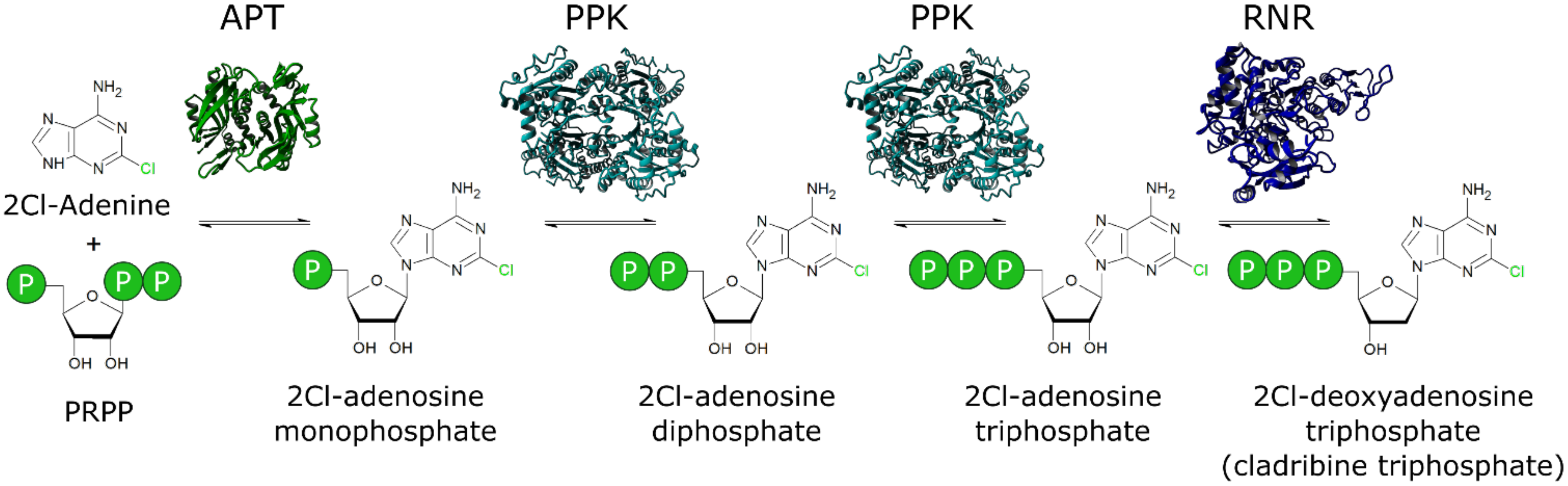 Biomolecules 11 00346 g001
