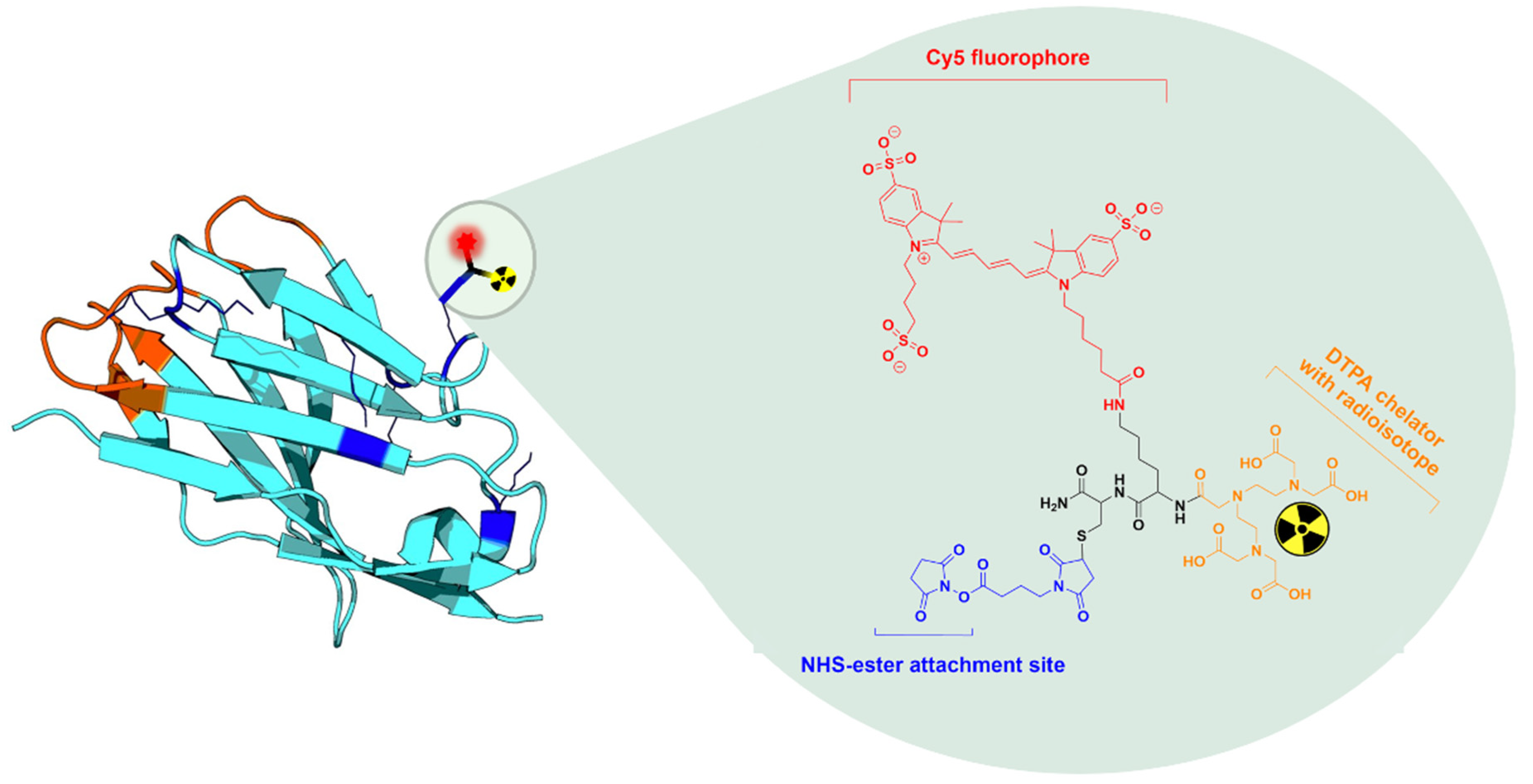 Biomolecules 11 00360 g001
