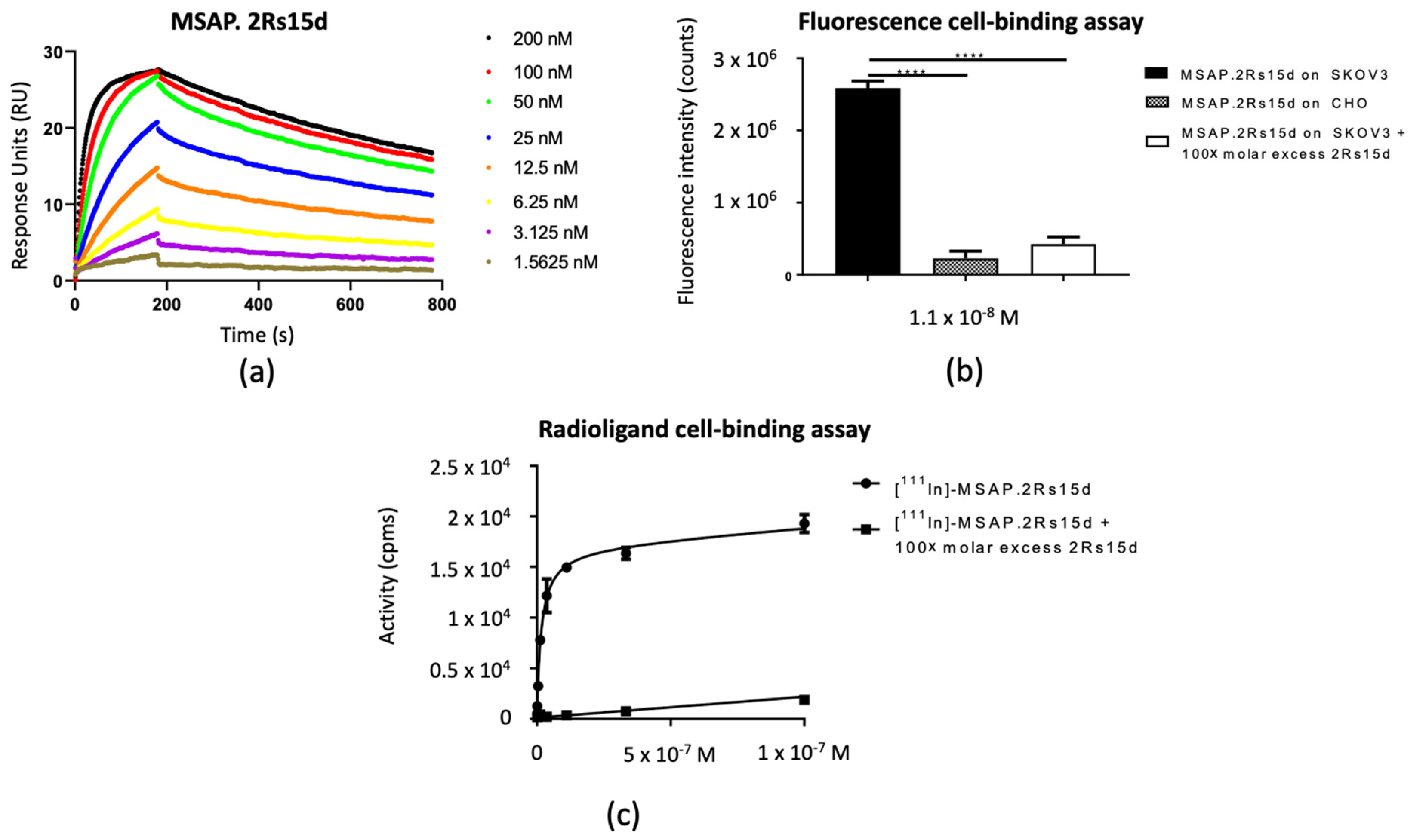 Biomolecules 11 00360 g003