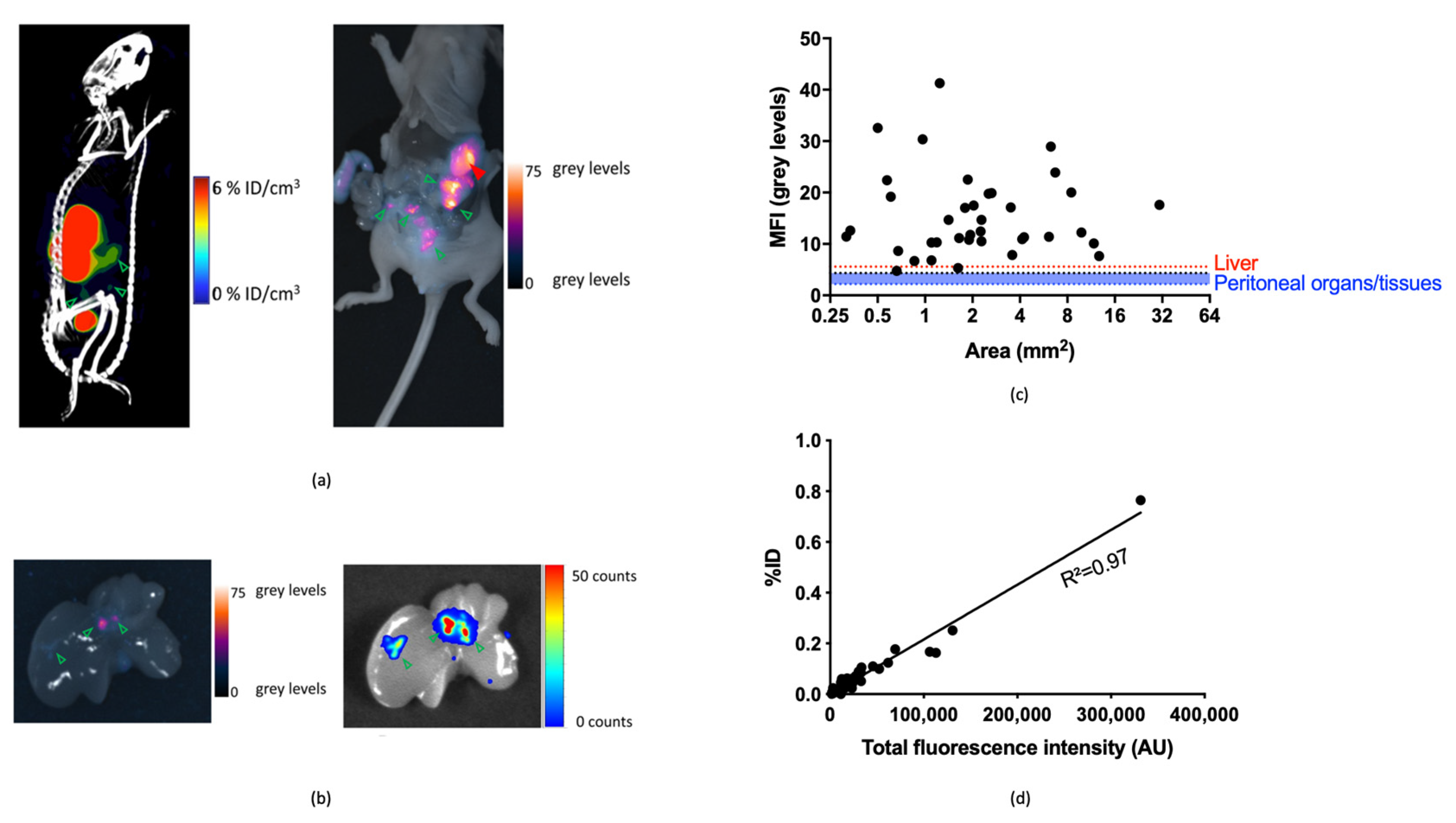 Biomolecules 11 00360 g005