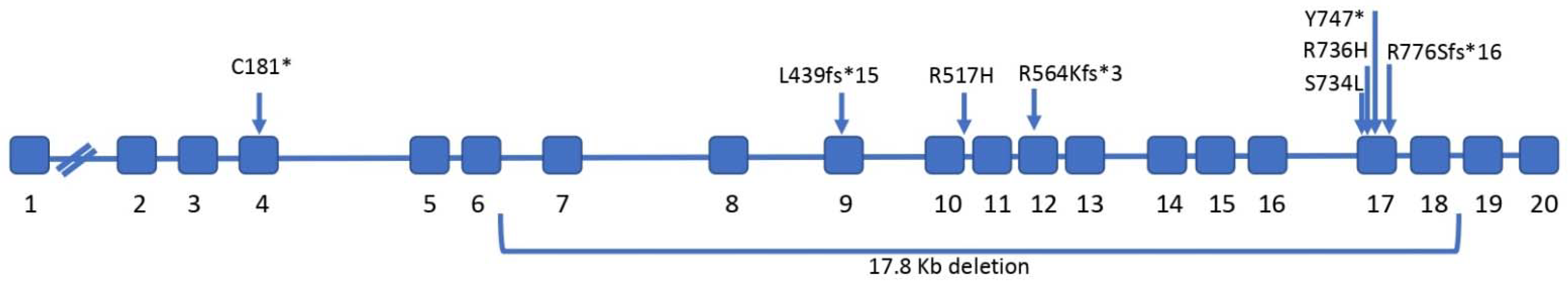 Biomolecules 11 00367 g001 Biomolecules 11 00367 g001