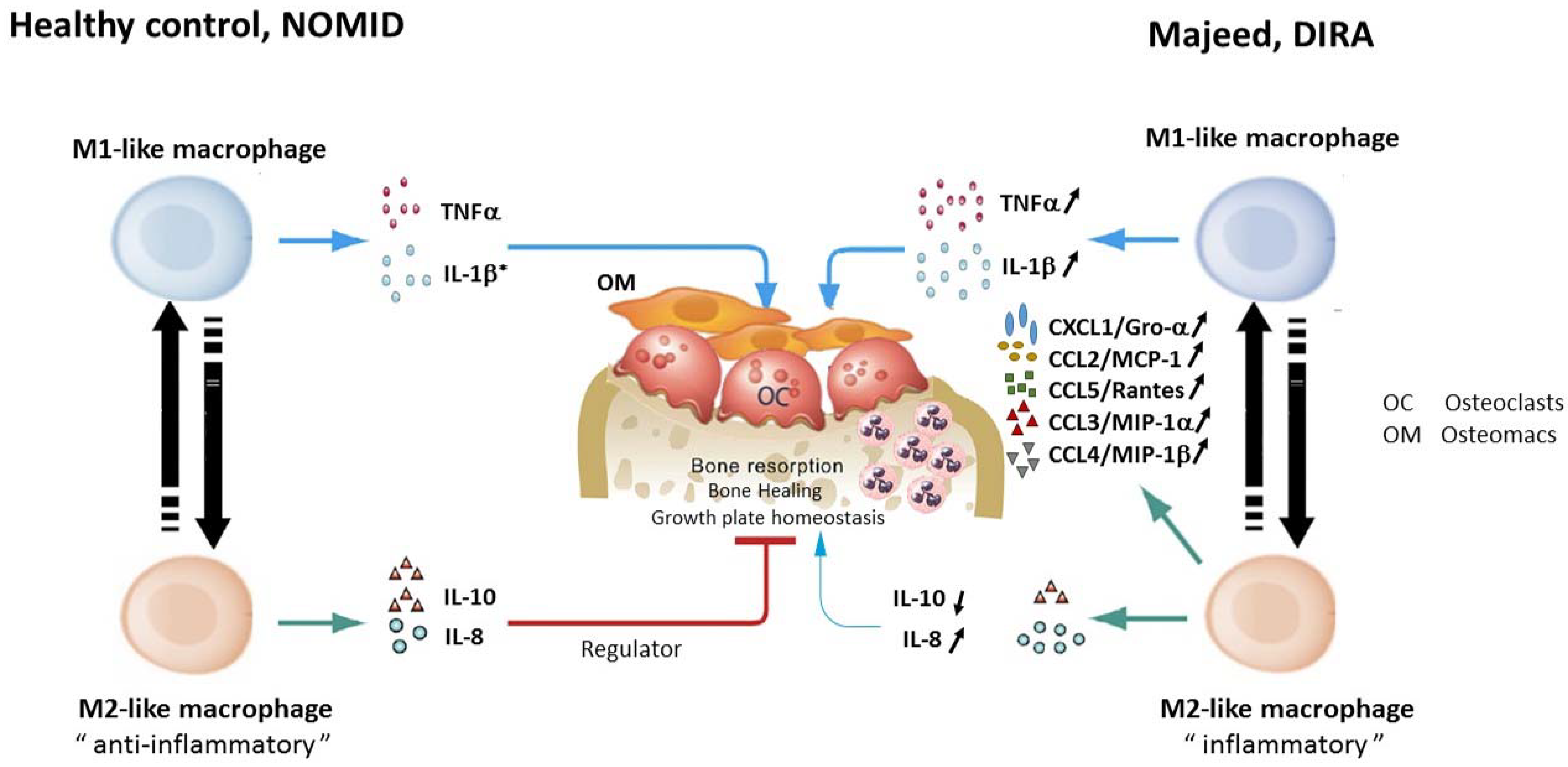 Biomolecules 11 00367 g002 Biomolecules 11 00367 g002