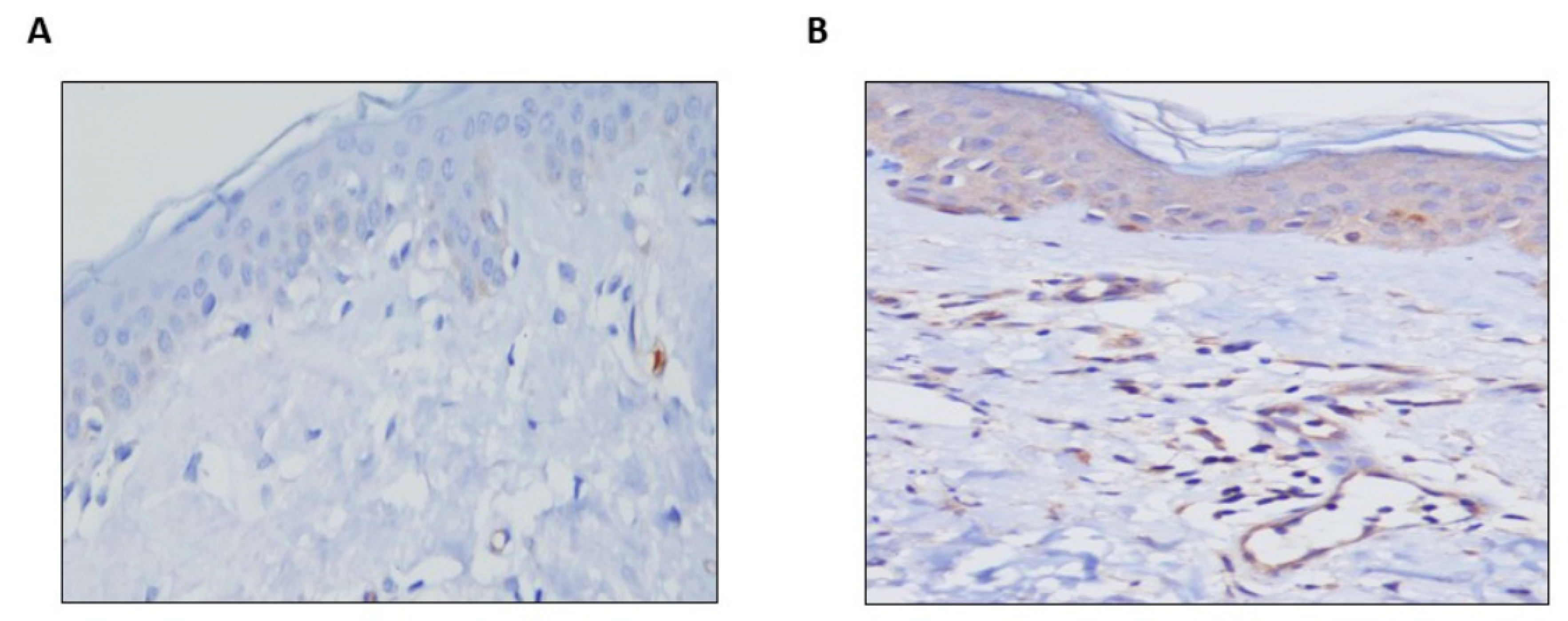 Biomolecules 11 00373 g001 Biomolecules 11 00373 g001