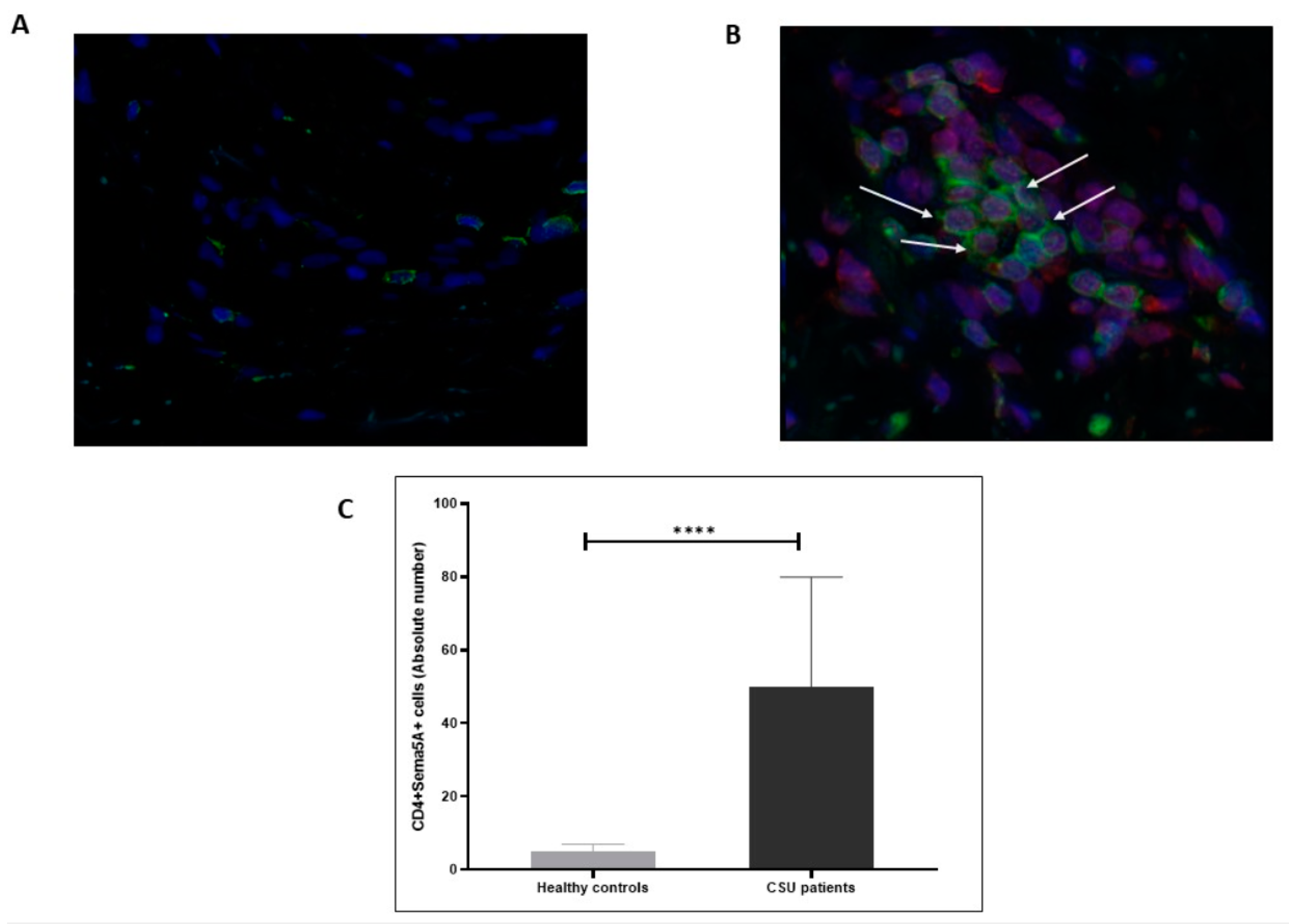 Biomolecules 11 00373 g002 Biomolecules 11 00373 g002