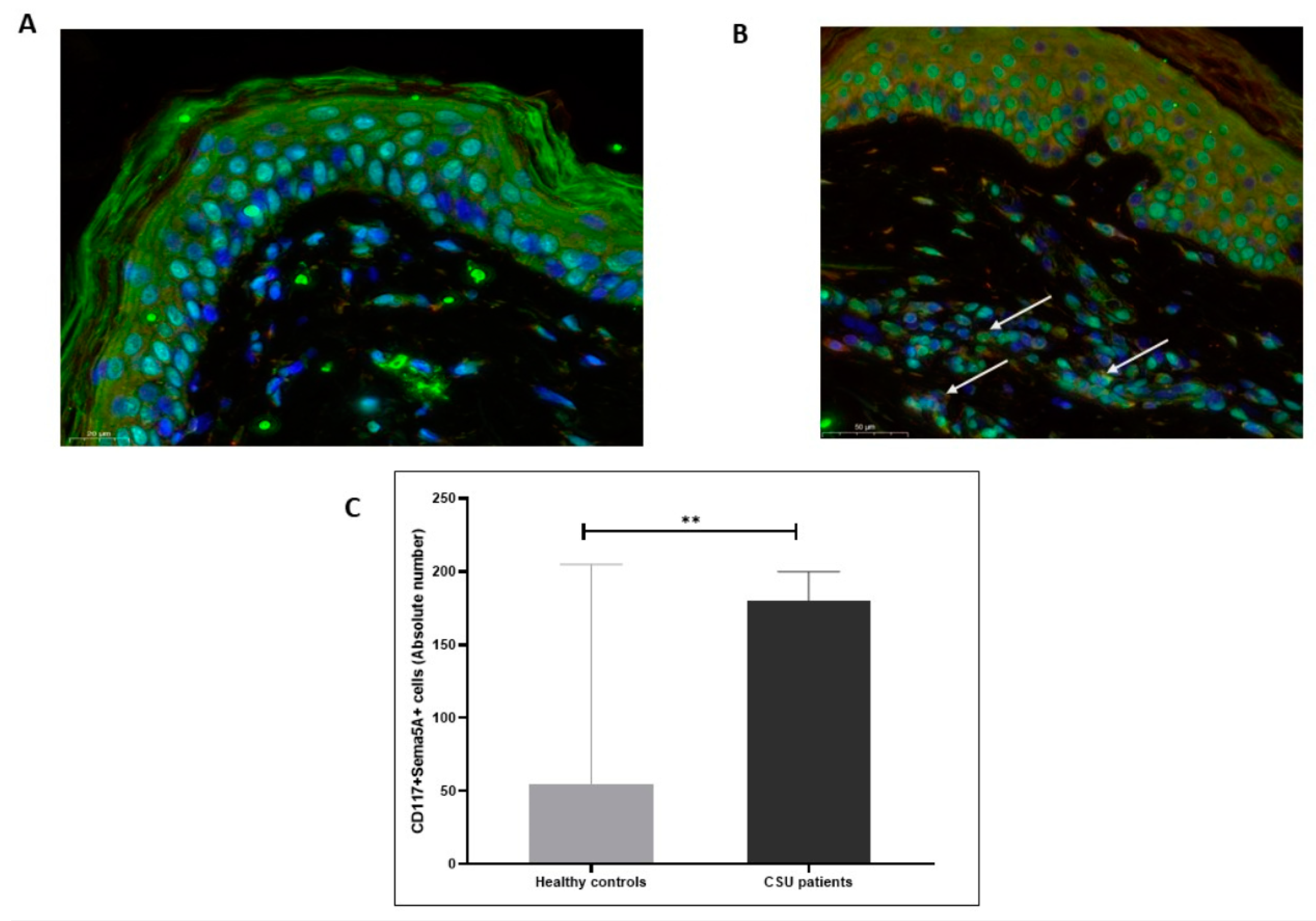 Biomolecules 11 00373 g003 Biomolecules 11 00373 g003