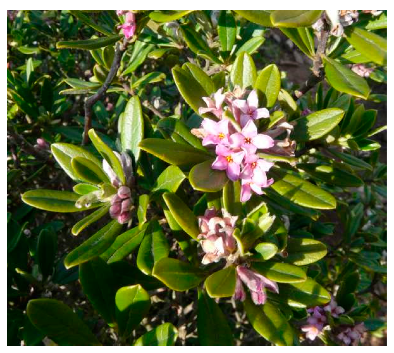 Biomolecules 11 00379 g001 Biomolecules 11 00379 g001