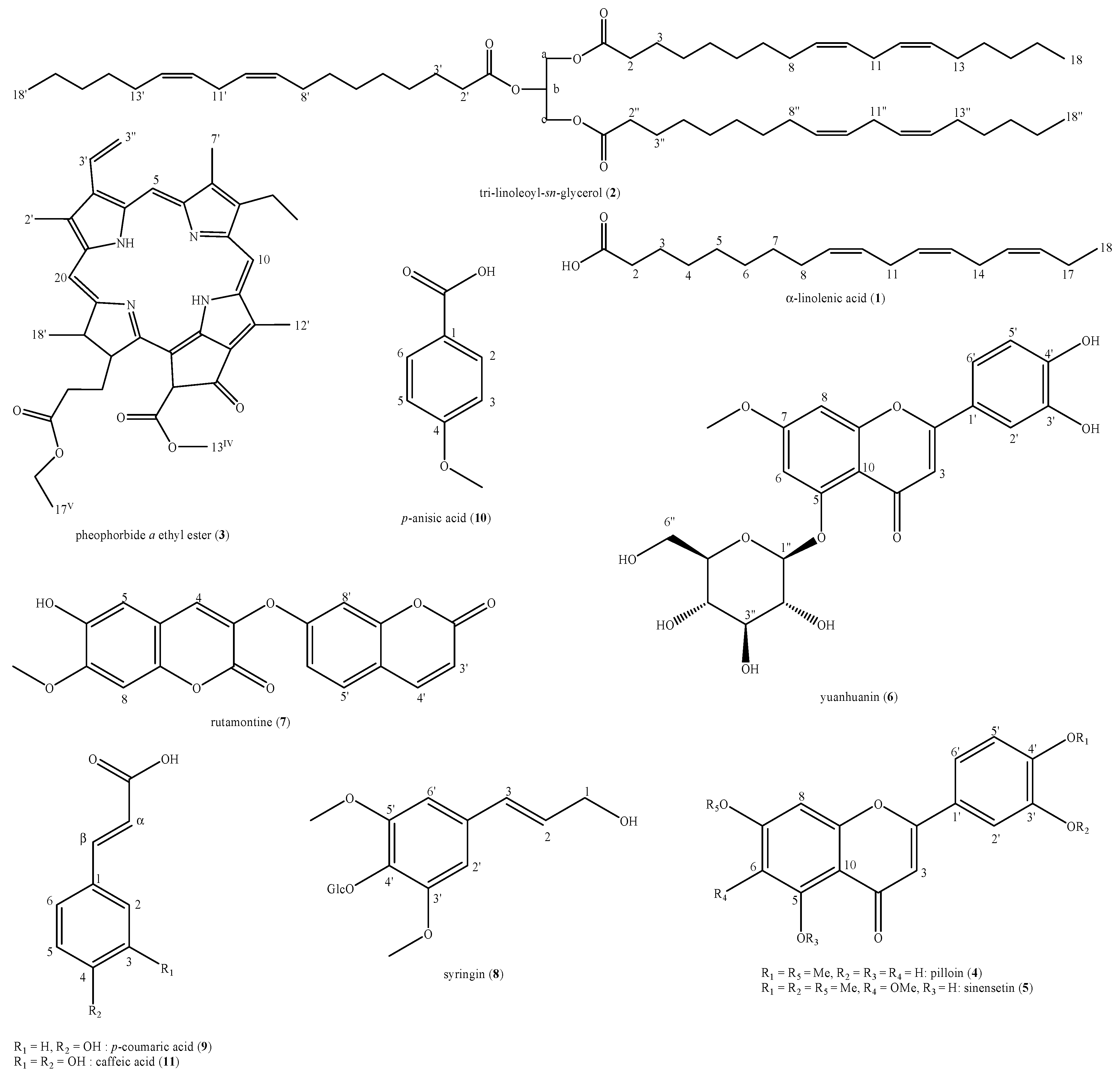 Biomolecules 11 00379 g002 Biomolecules 11 00379 g002