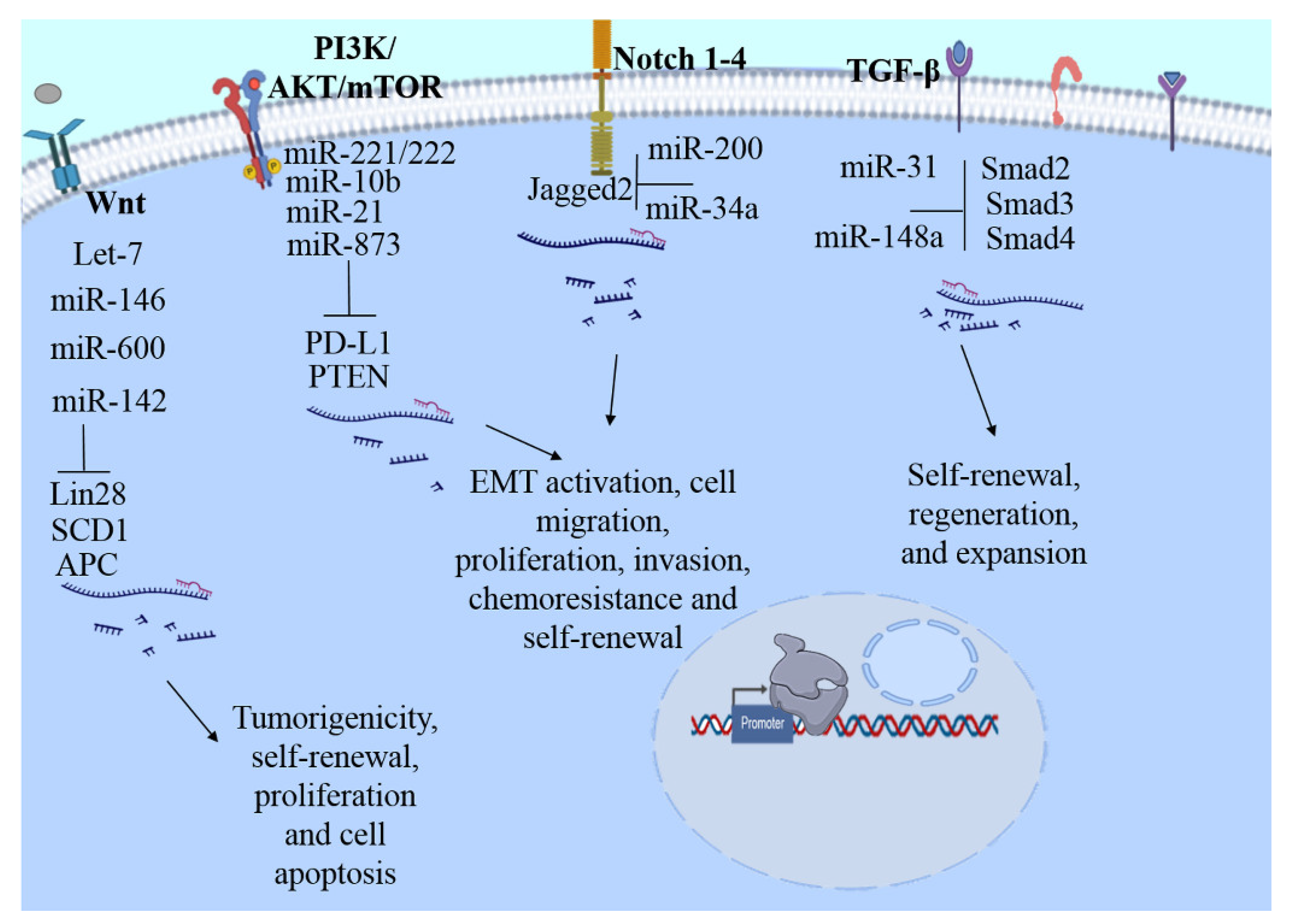Biomolecules 11 00380 g001 Biomolecules 11 00380 g001
