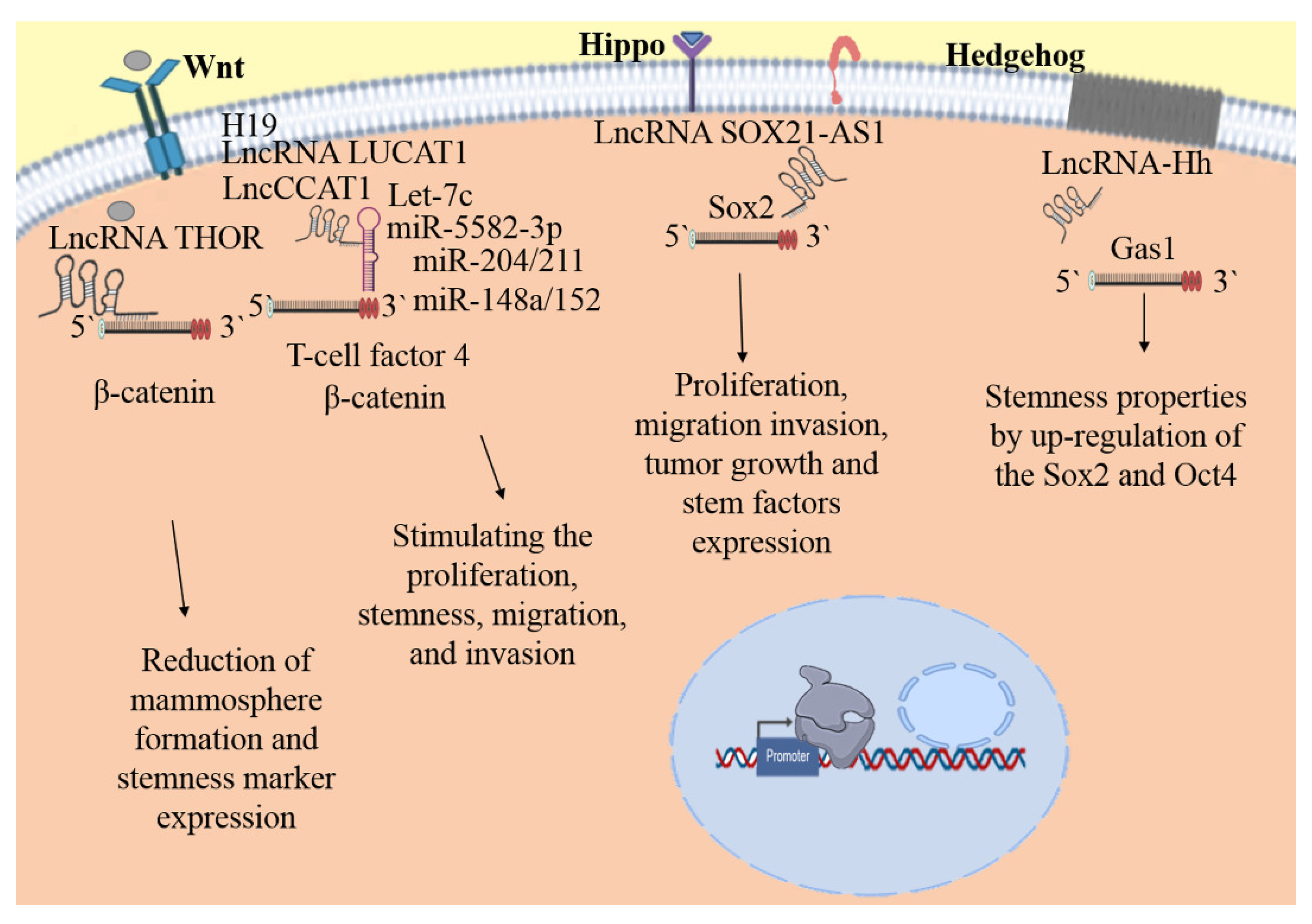 Biomolecules 11 00380 g002 Biomolecules 11 00380 g002