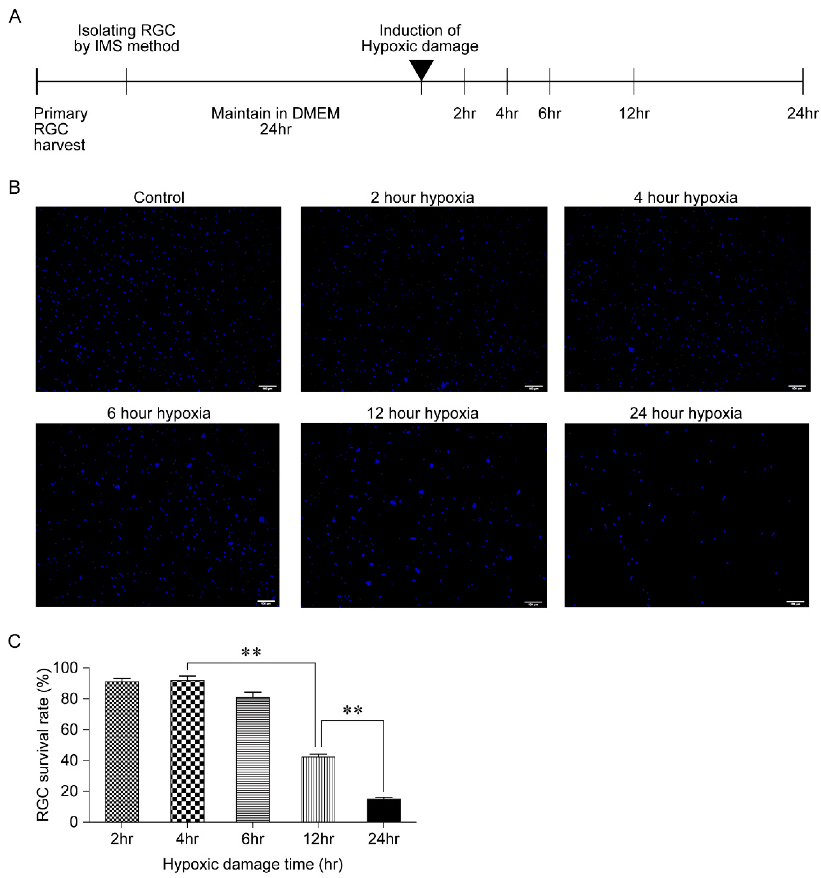 Biomolecules 11 00391 g001