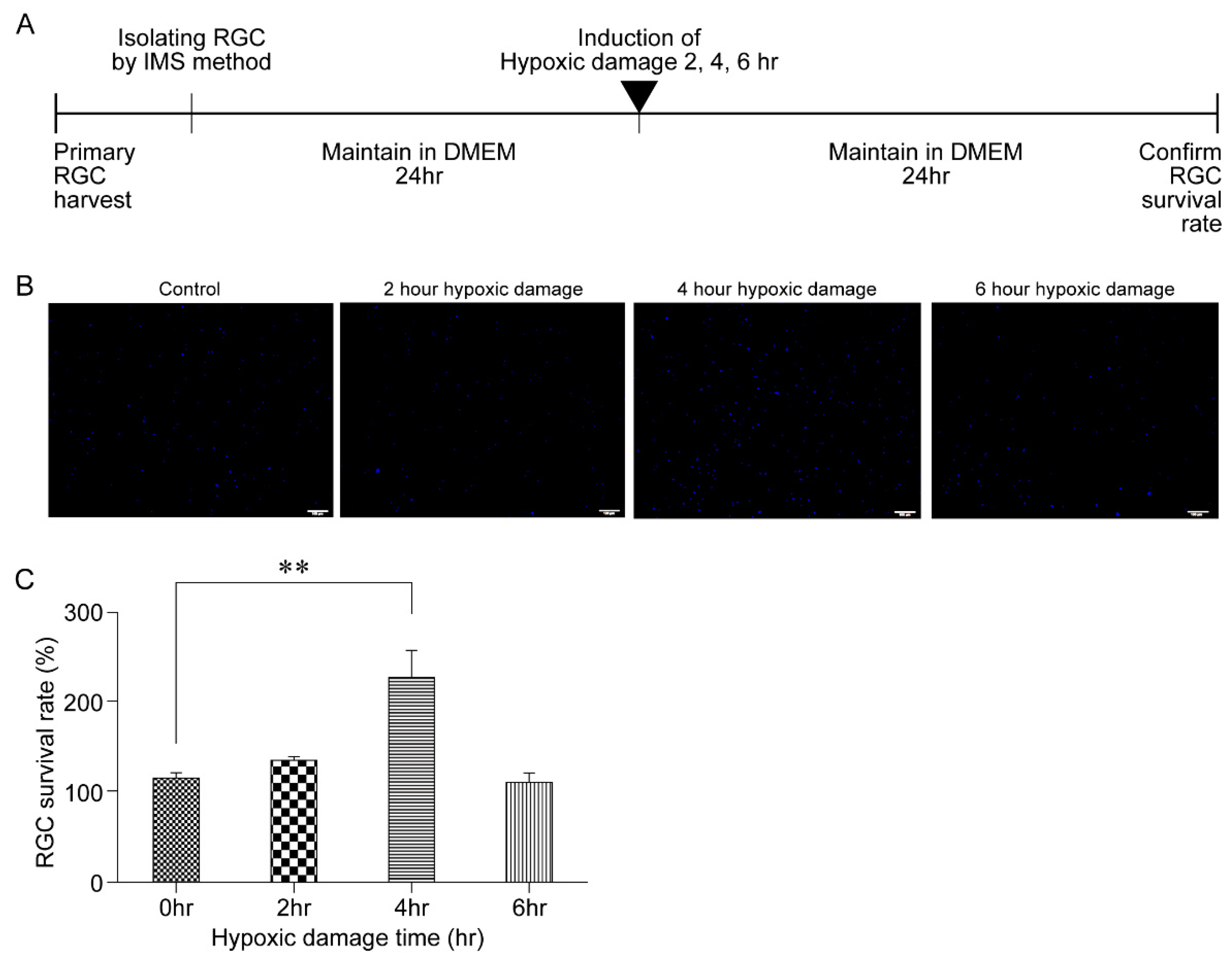 Biomolecules 11 00391 g002