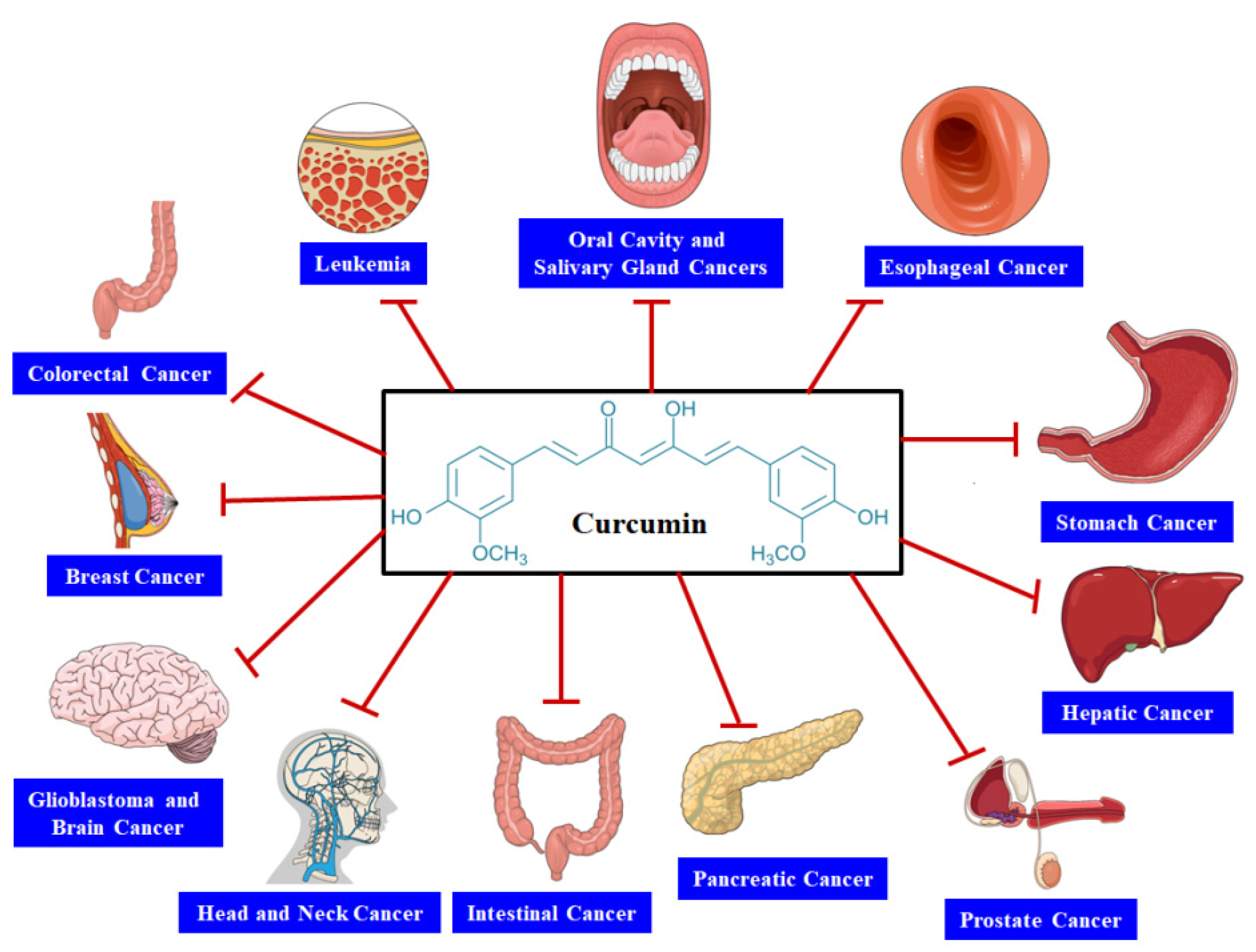 Biomolecules 11 00392 g002 Biomolecules 11 00392 g002