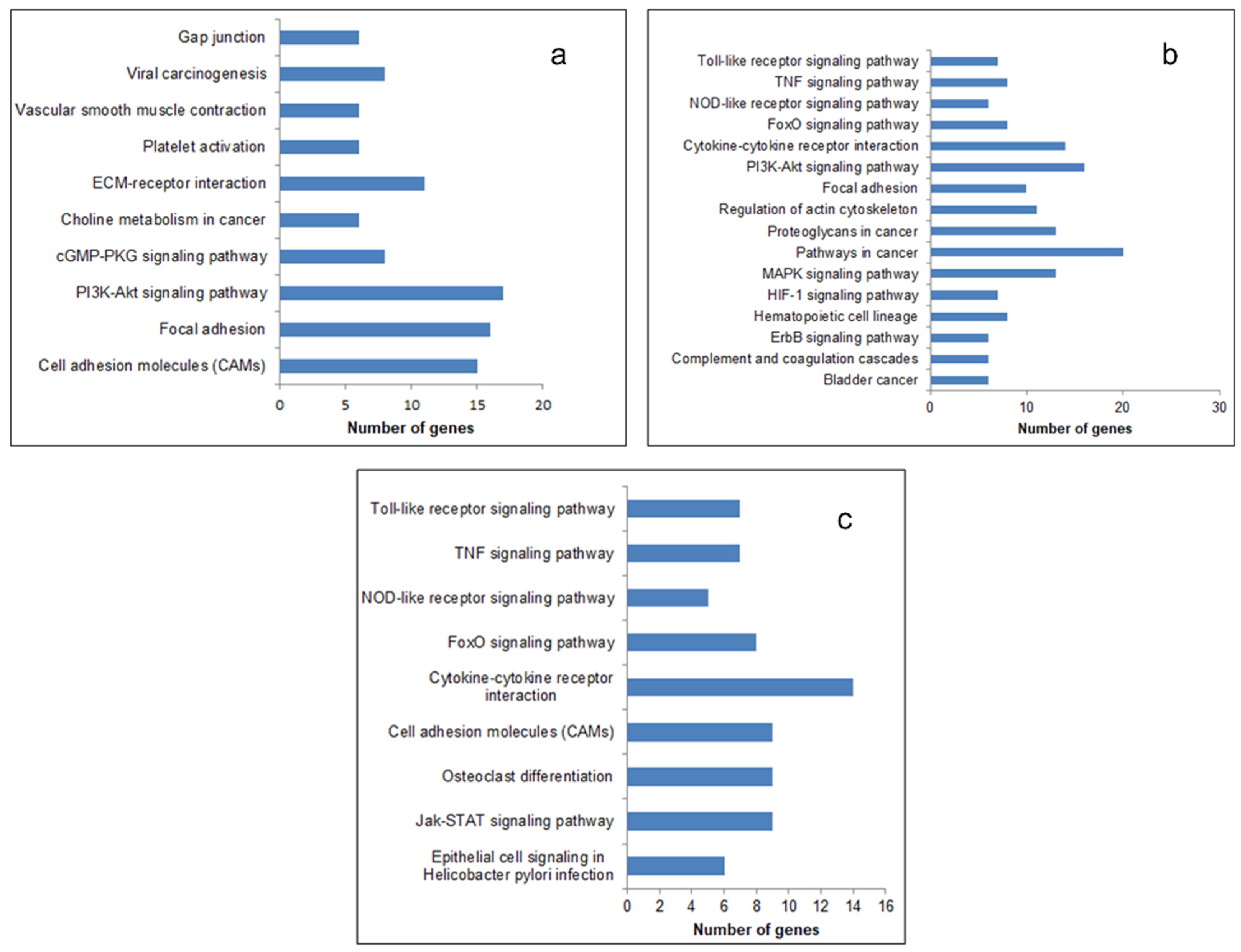 Biomolecules 11 00403 g003 Biomolecules 11 00403 g003