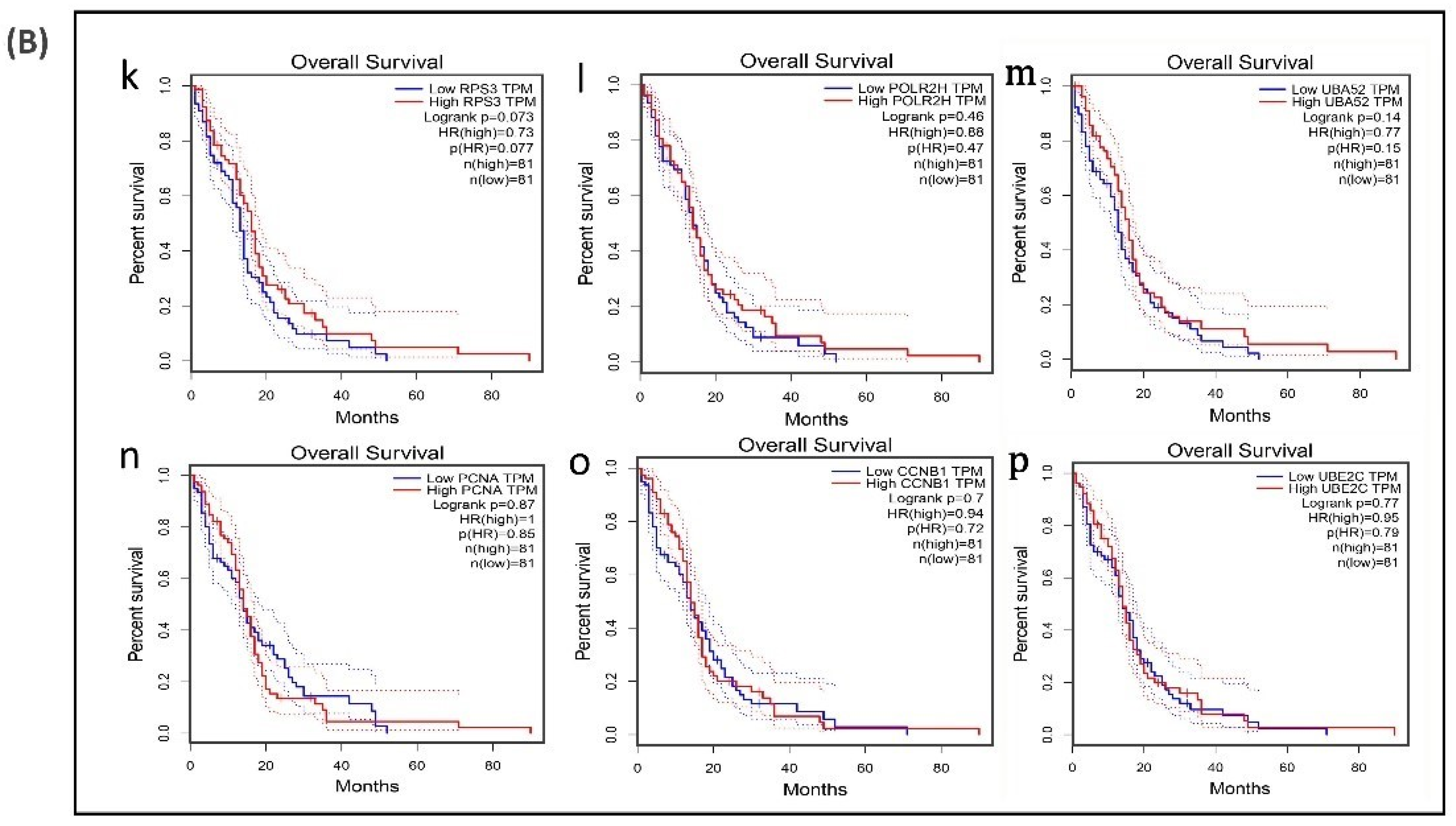 Biomolecules 11 00403 g006b Biomolecules 11 00403 g006b