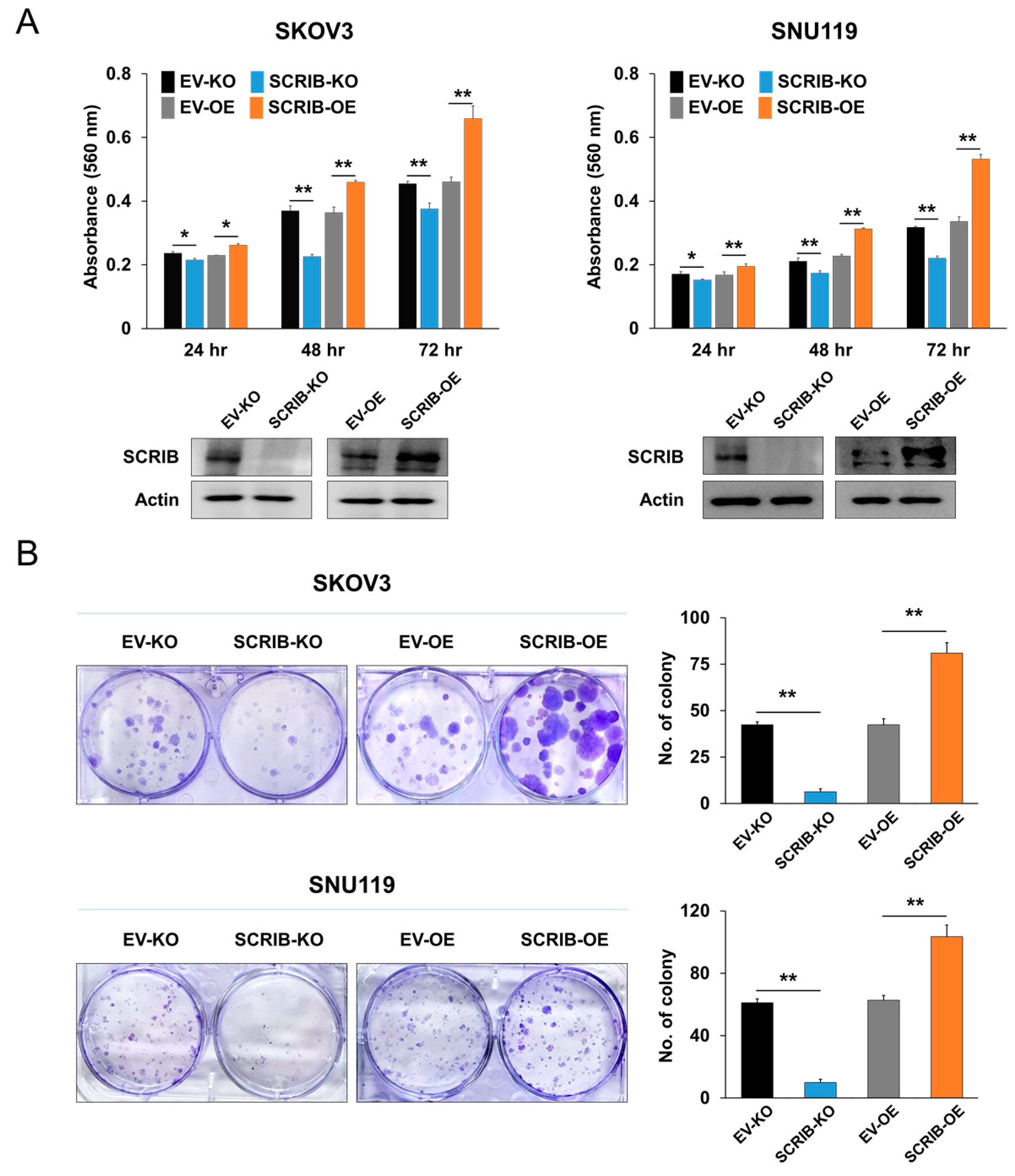 Biomolecules 11 00405 g005 Biomolecules 11 00405 g005