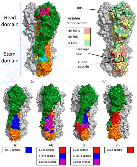 Biomolecules 11 00407 g002