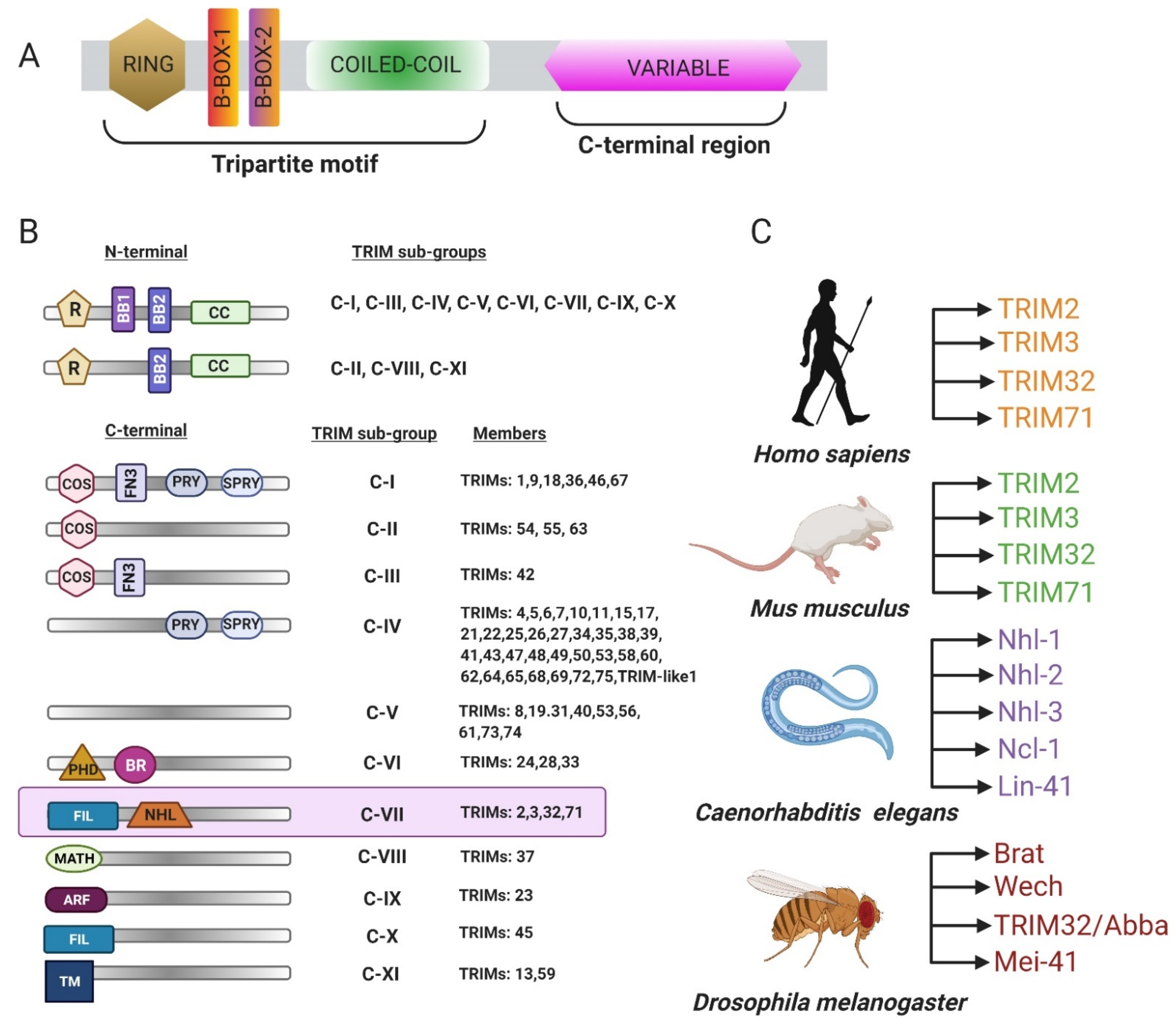 Biomolecules 11 00408 g001 Biomolecules 11 00408 g001