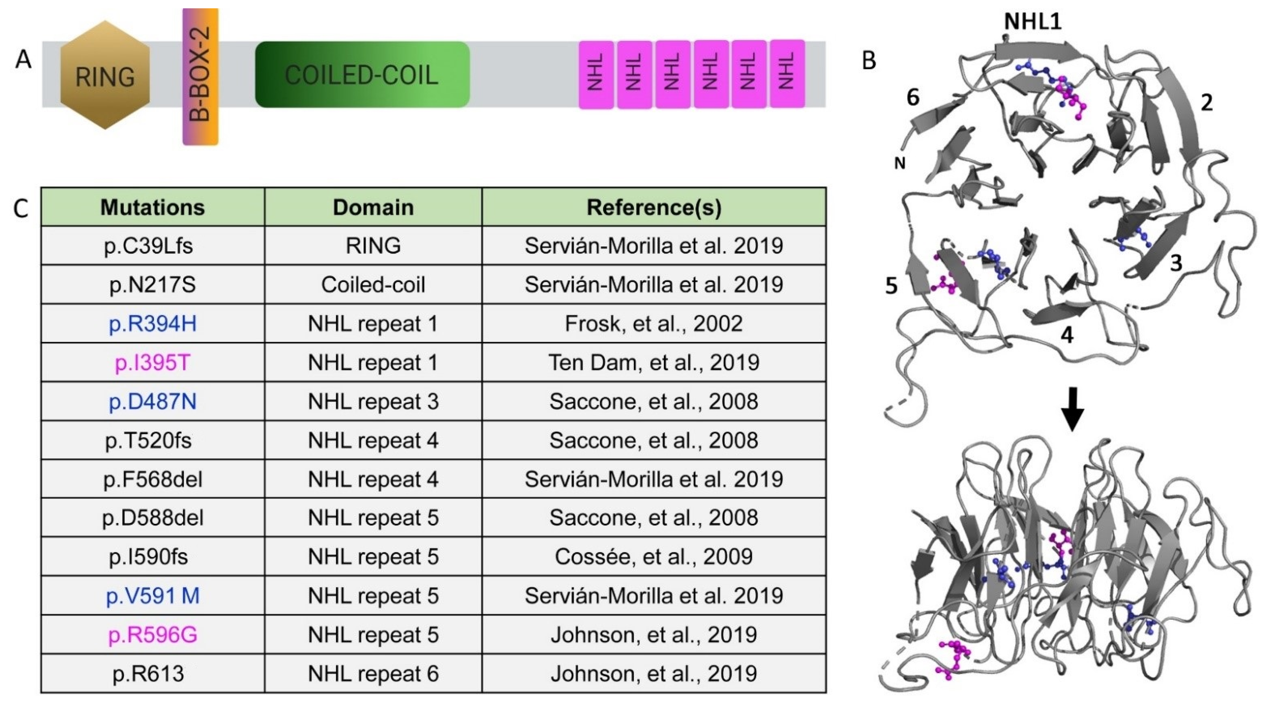 Biomolecules 11 00408 g002 Biomolecules 11 00408 g002