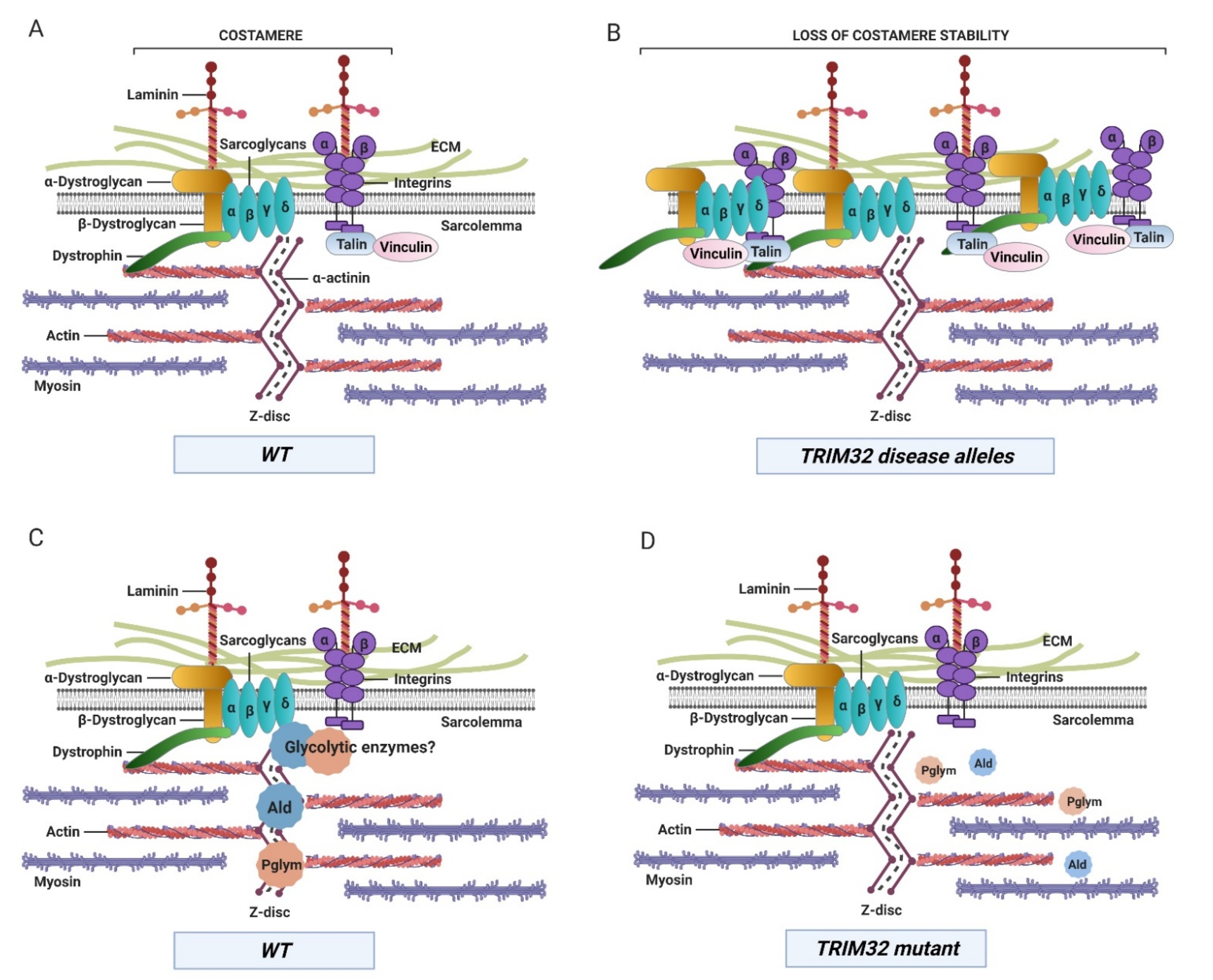 Biomolecules 11 00408 g005 Biomolecules 11 00408 g005