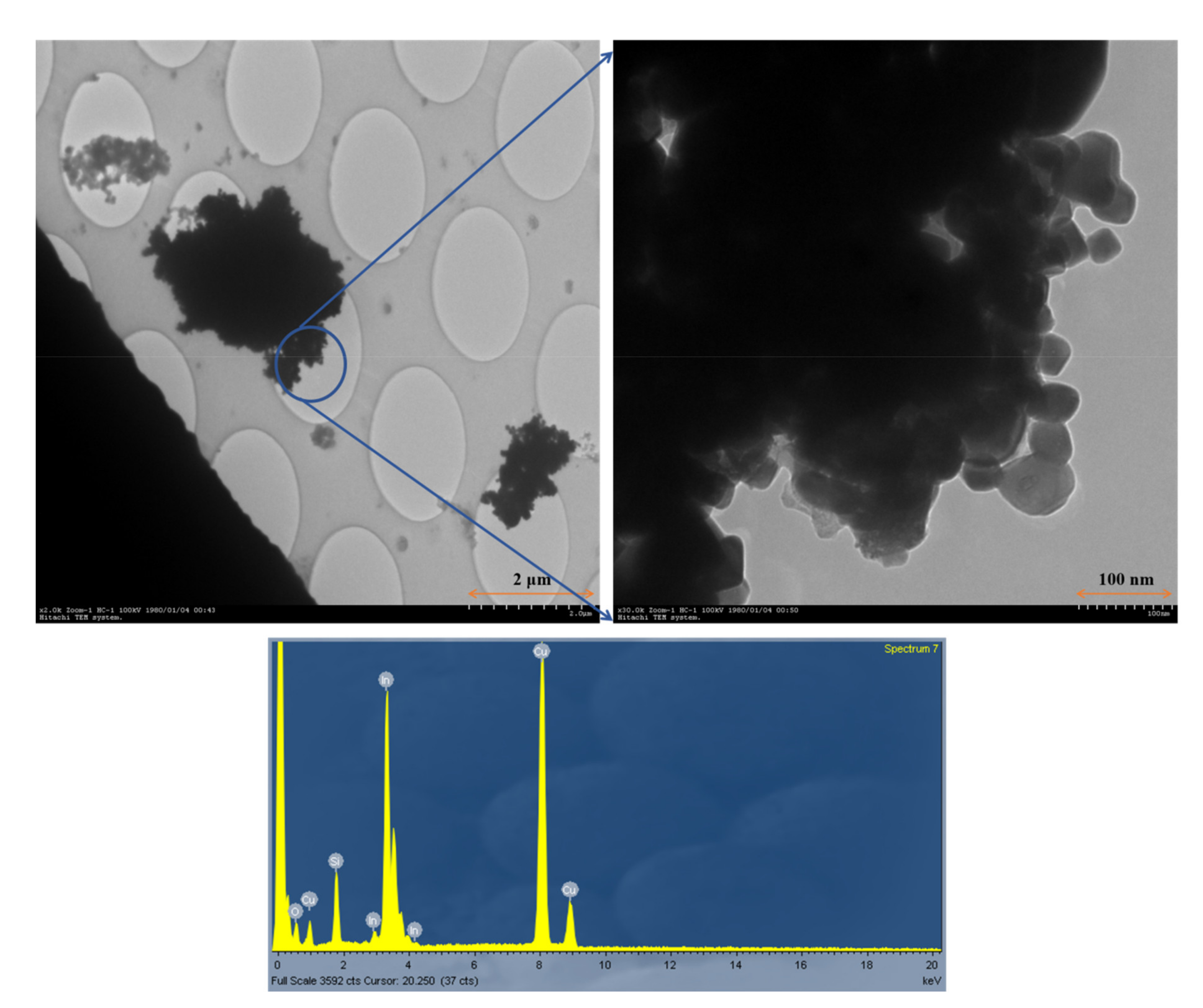 Biomolecules 11 00419 g004 Biomolecules 11 00419 g004