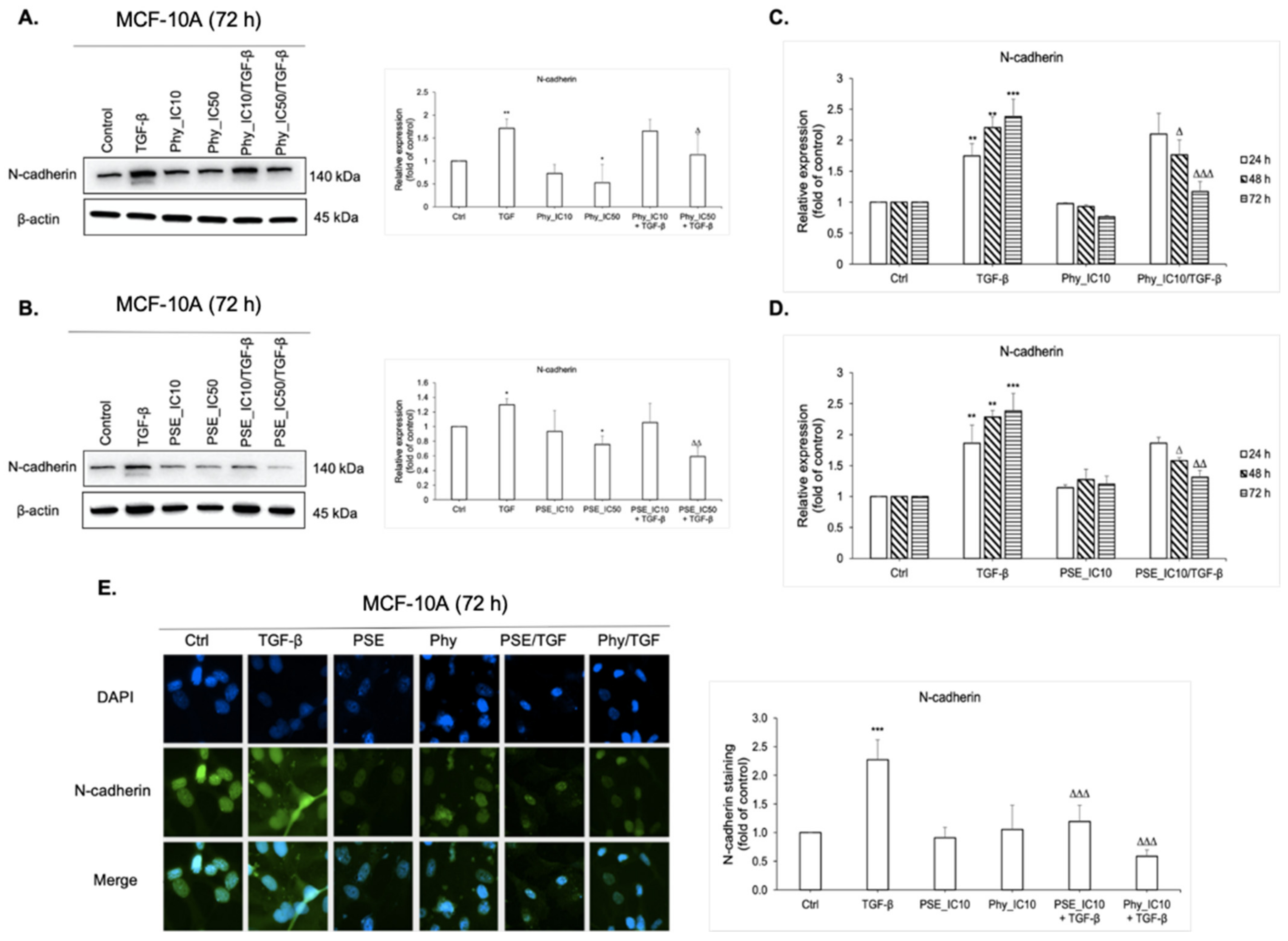 Biomolecules 11 00420 g006 Biomolecules 11 00420 g006