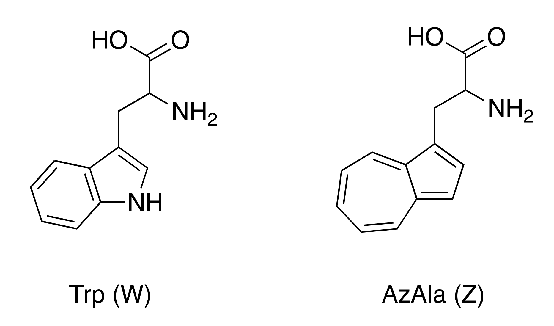 Biomolecules 11 00421 sch001
