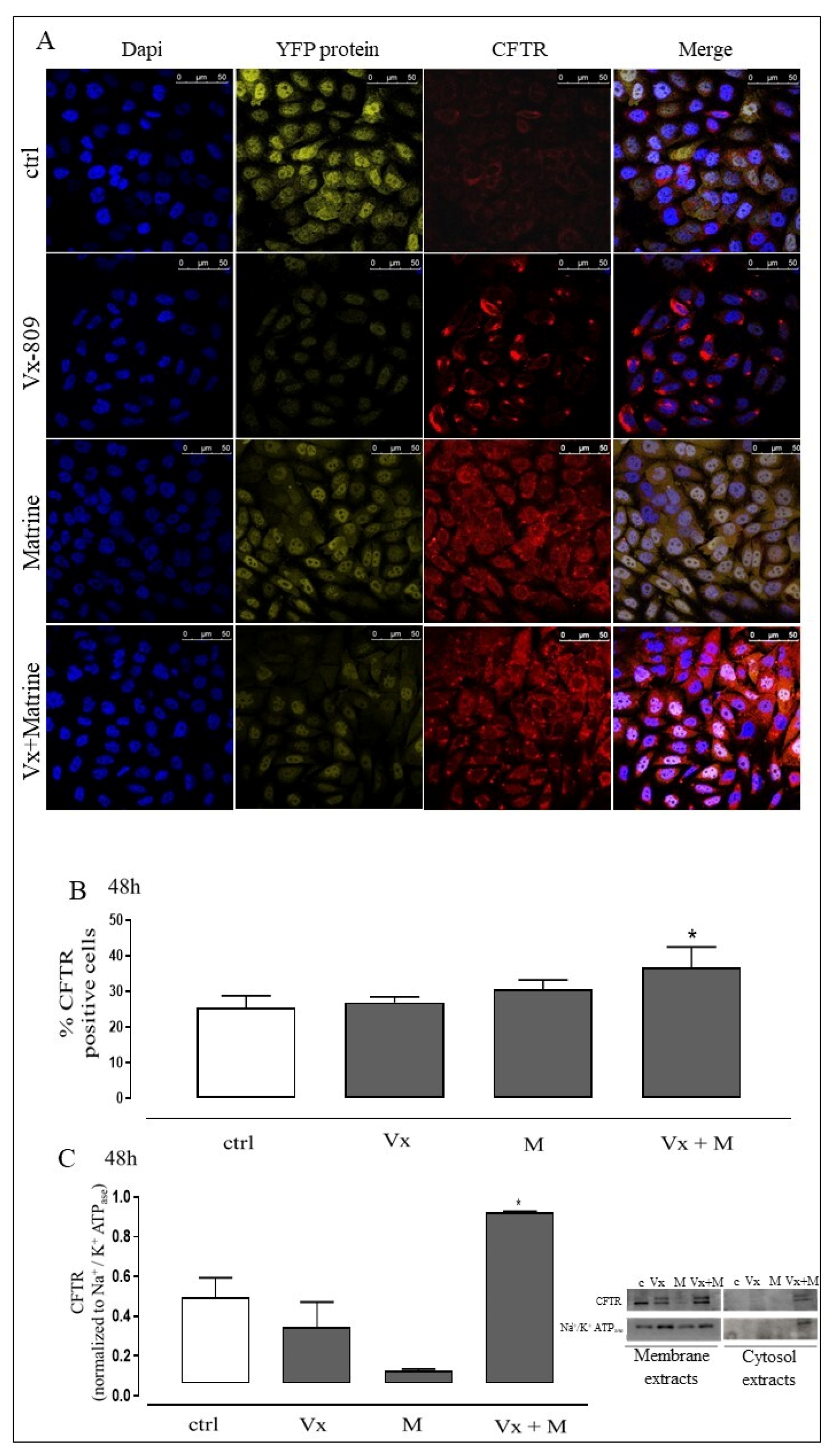 Biomolecules 11 00422 g001