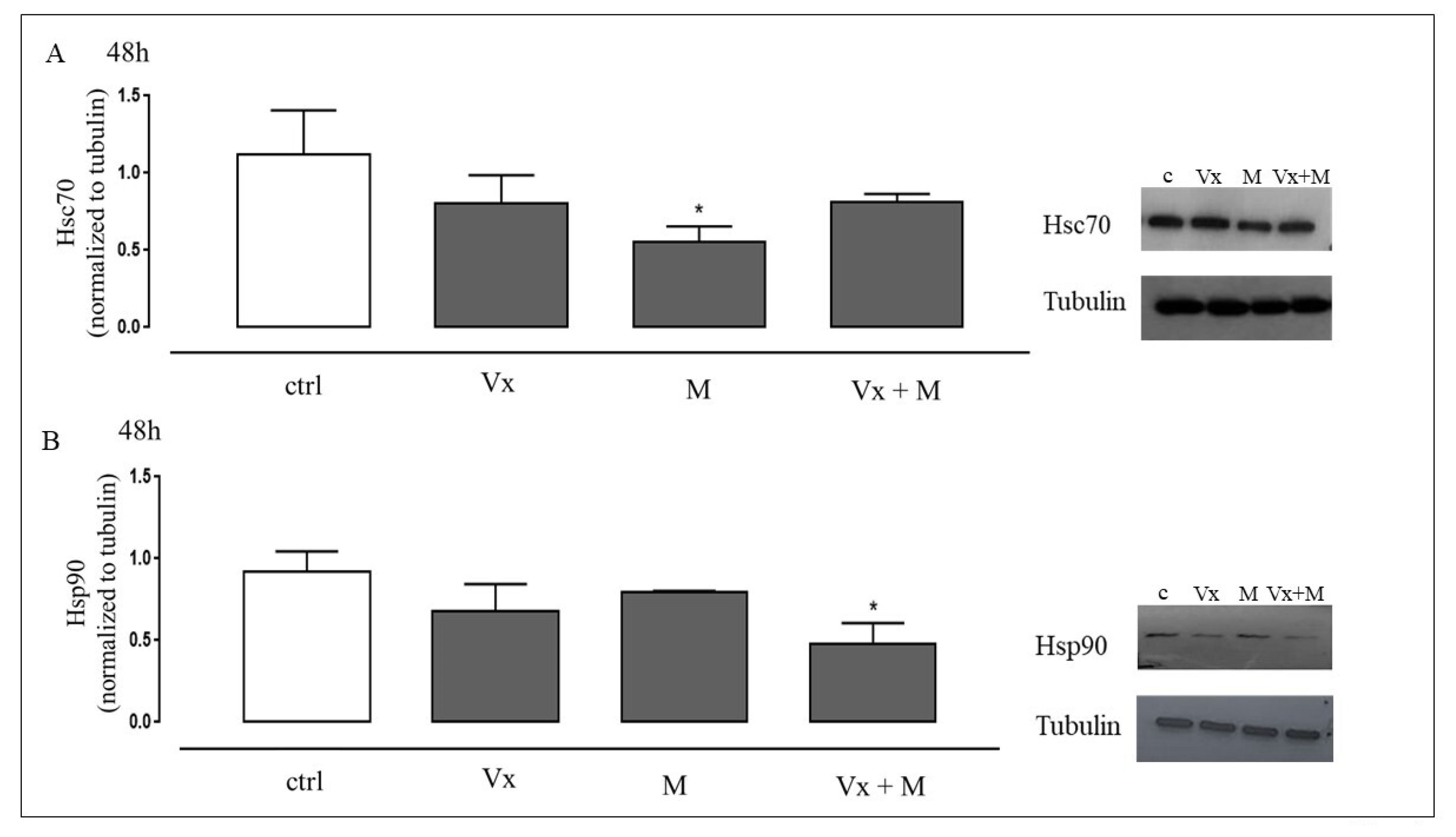Biomolecules 11 00422 g002