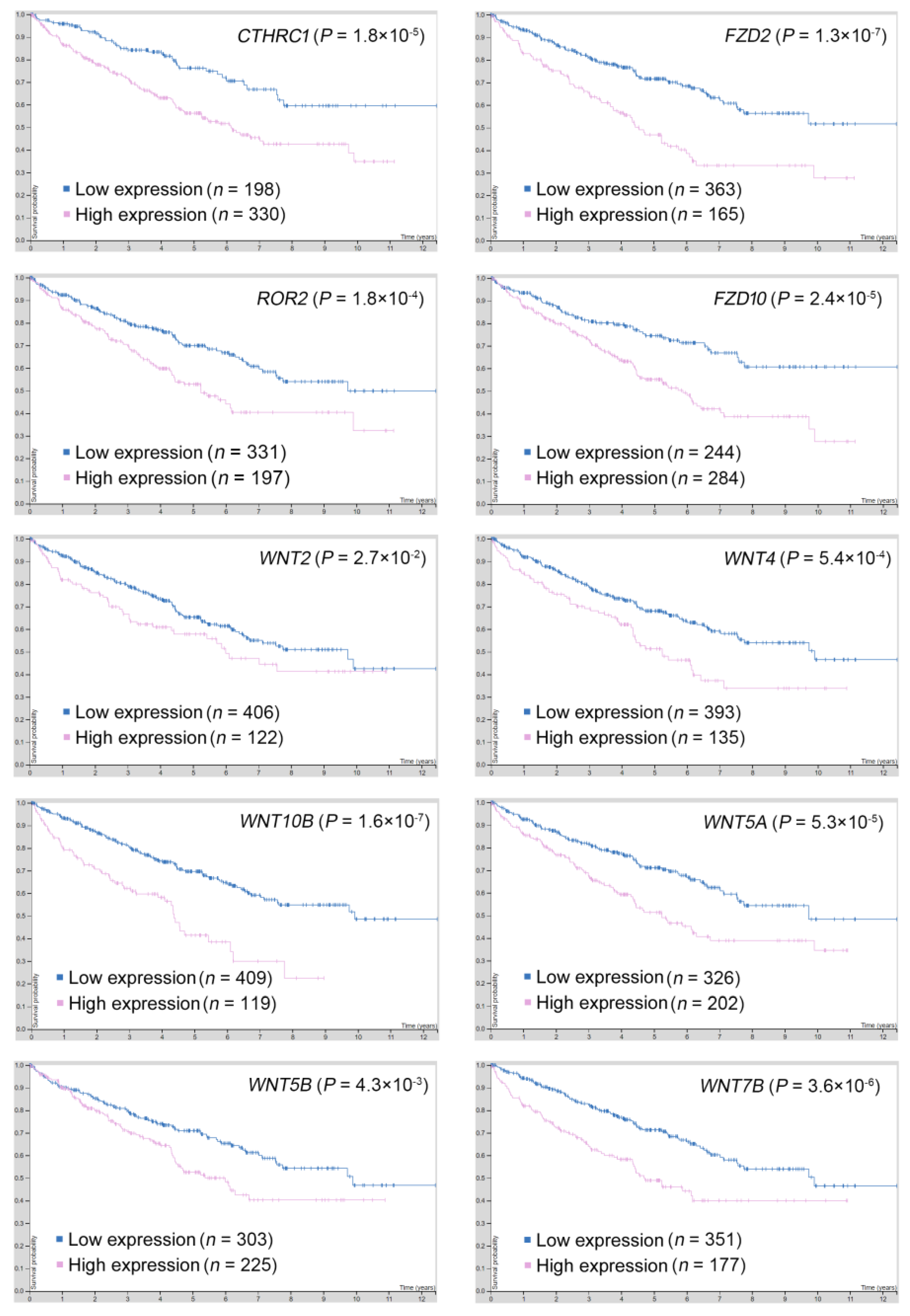 Biomolecules 11 00431 g005