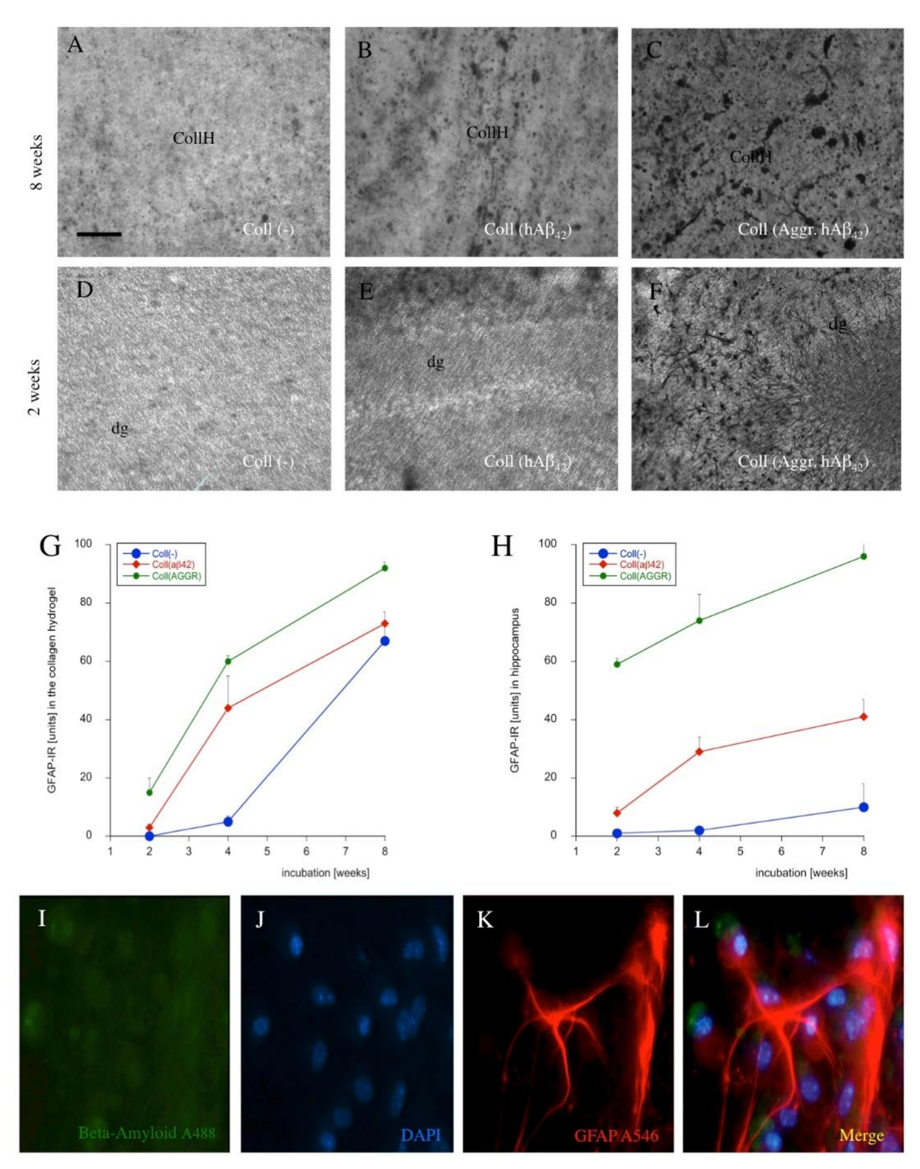 Biomolecules 11 00434 g009