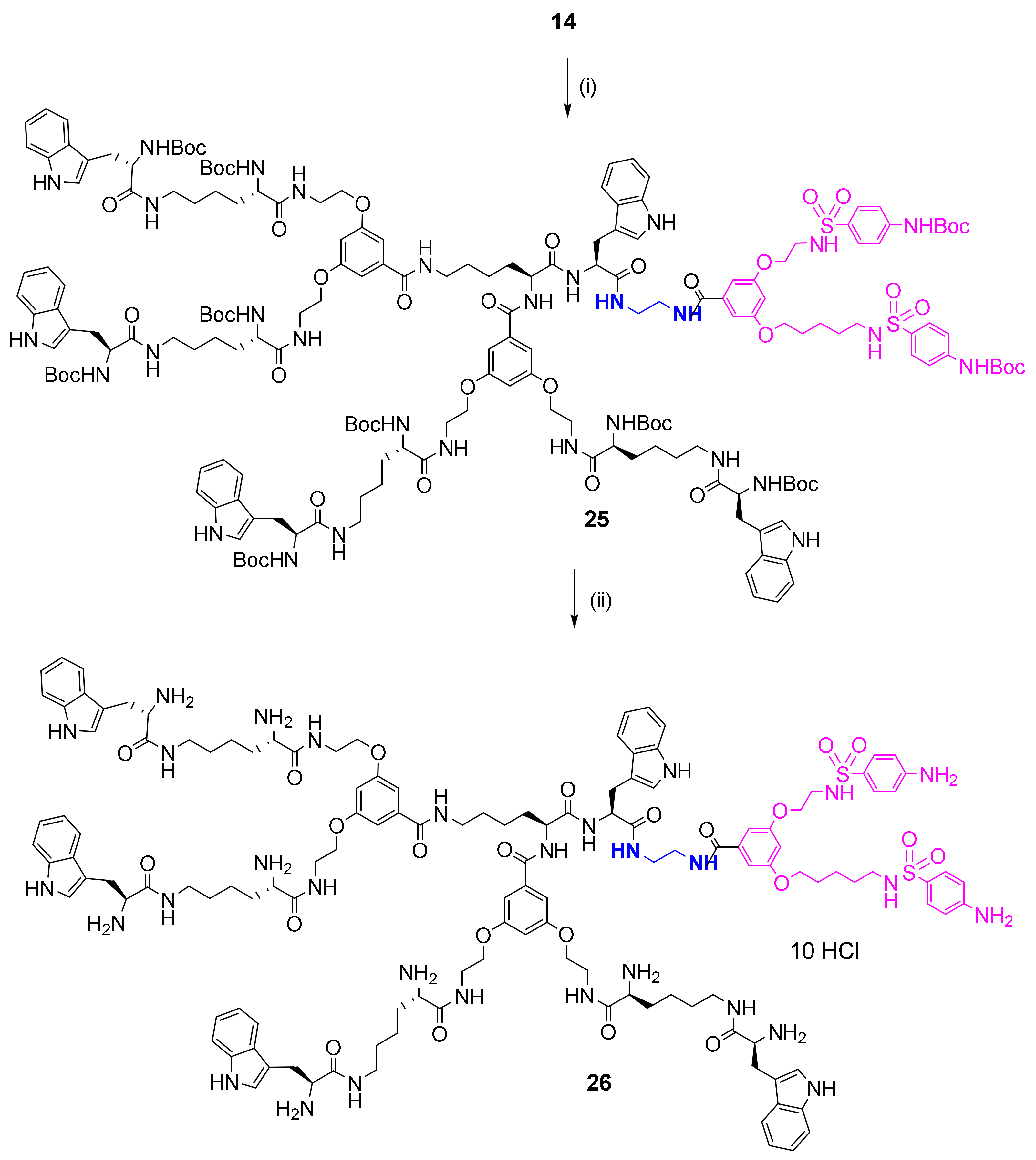 Biomolecules 11 00435 sch006 Biomolecules 11 00435 sch006