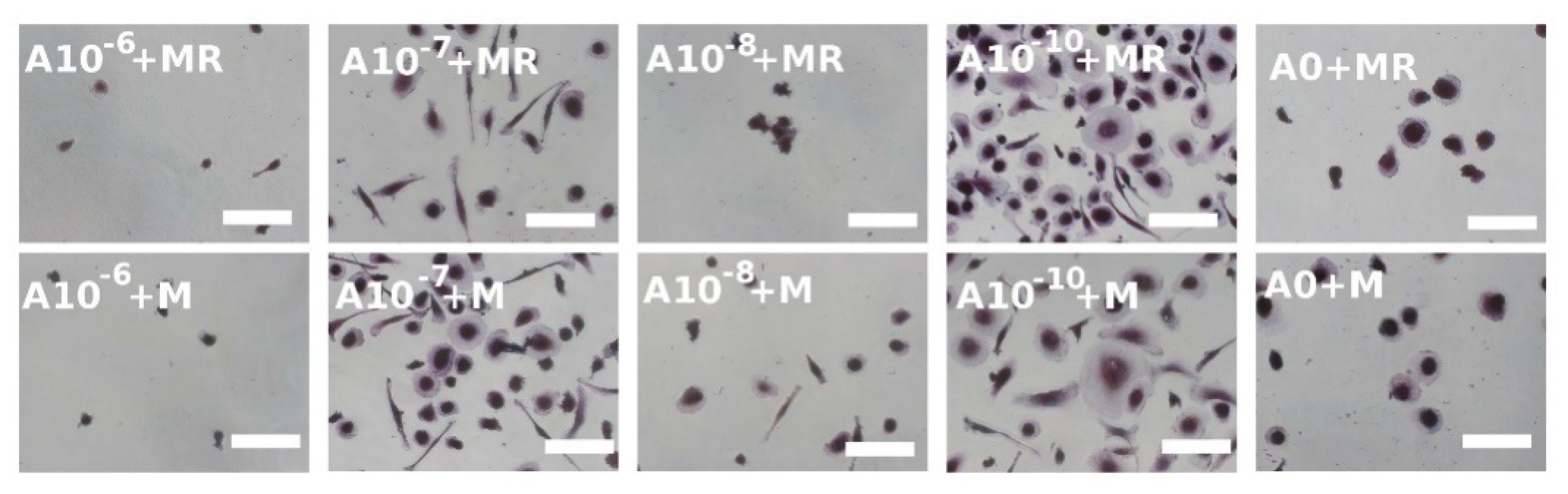 Biomolecules 11 00438 g005 Biomolecules 11 00438 g005