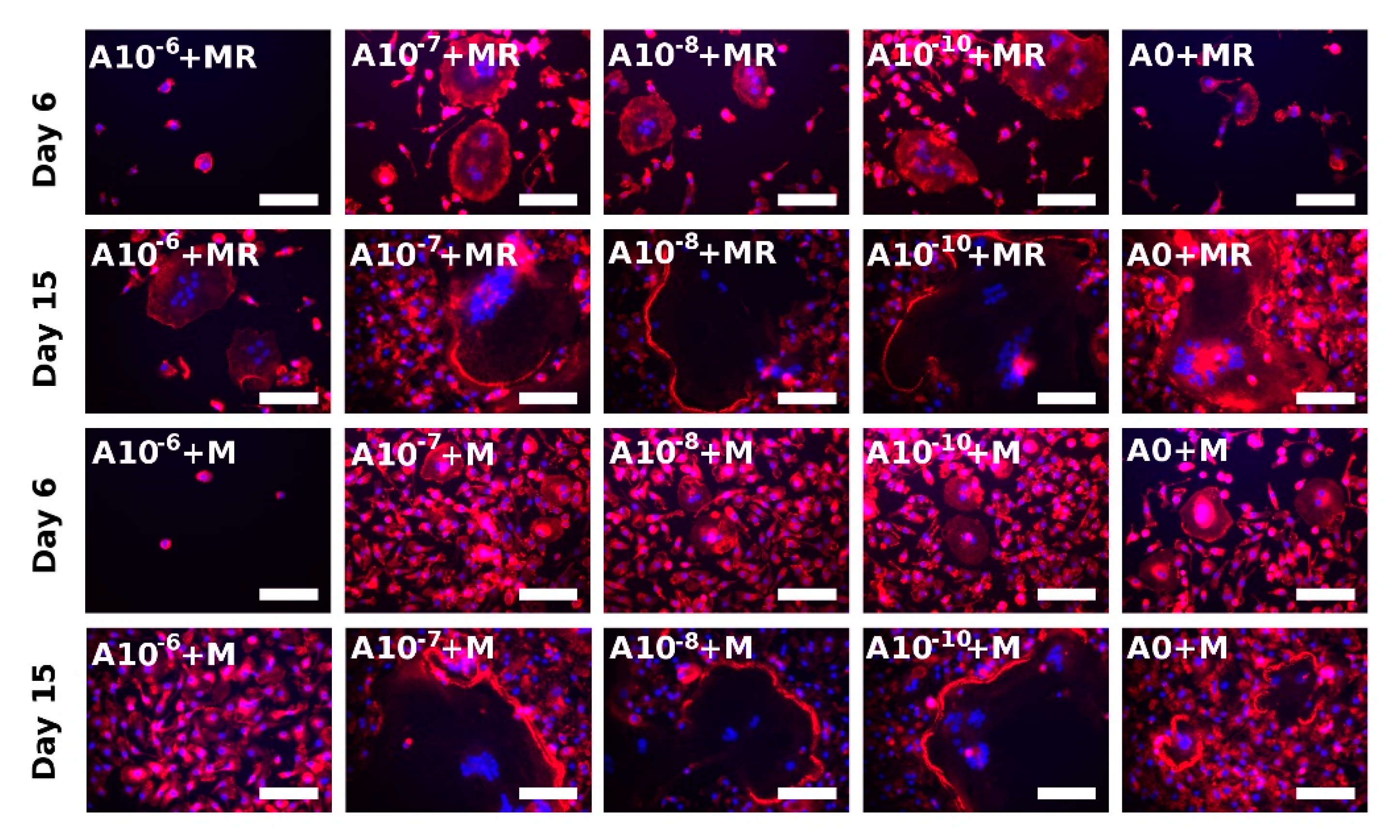 Biomolecules 11 00438 g006 Biomolecules 11 00438 g006